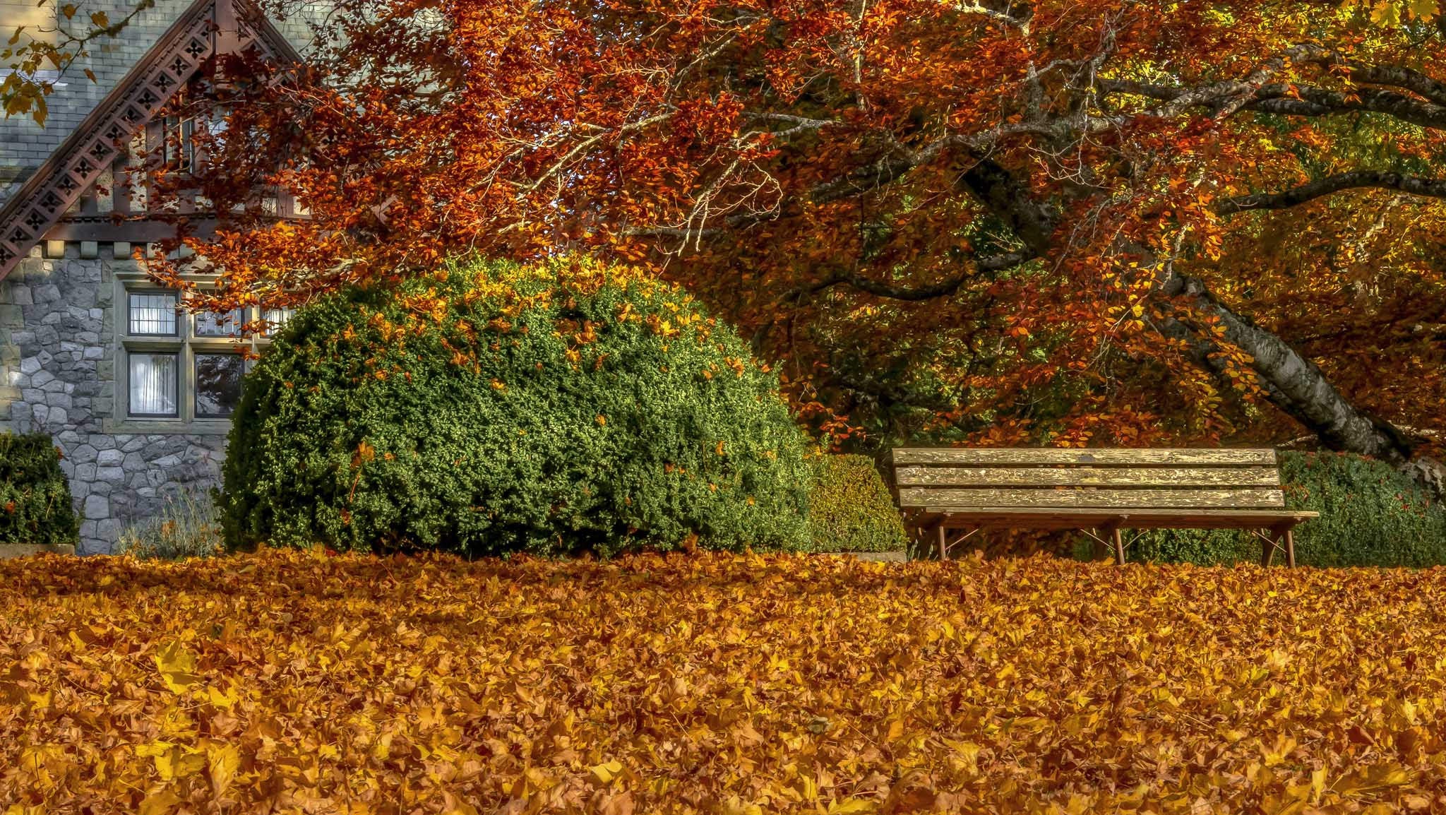 General 2048x1154 fall leaves bench