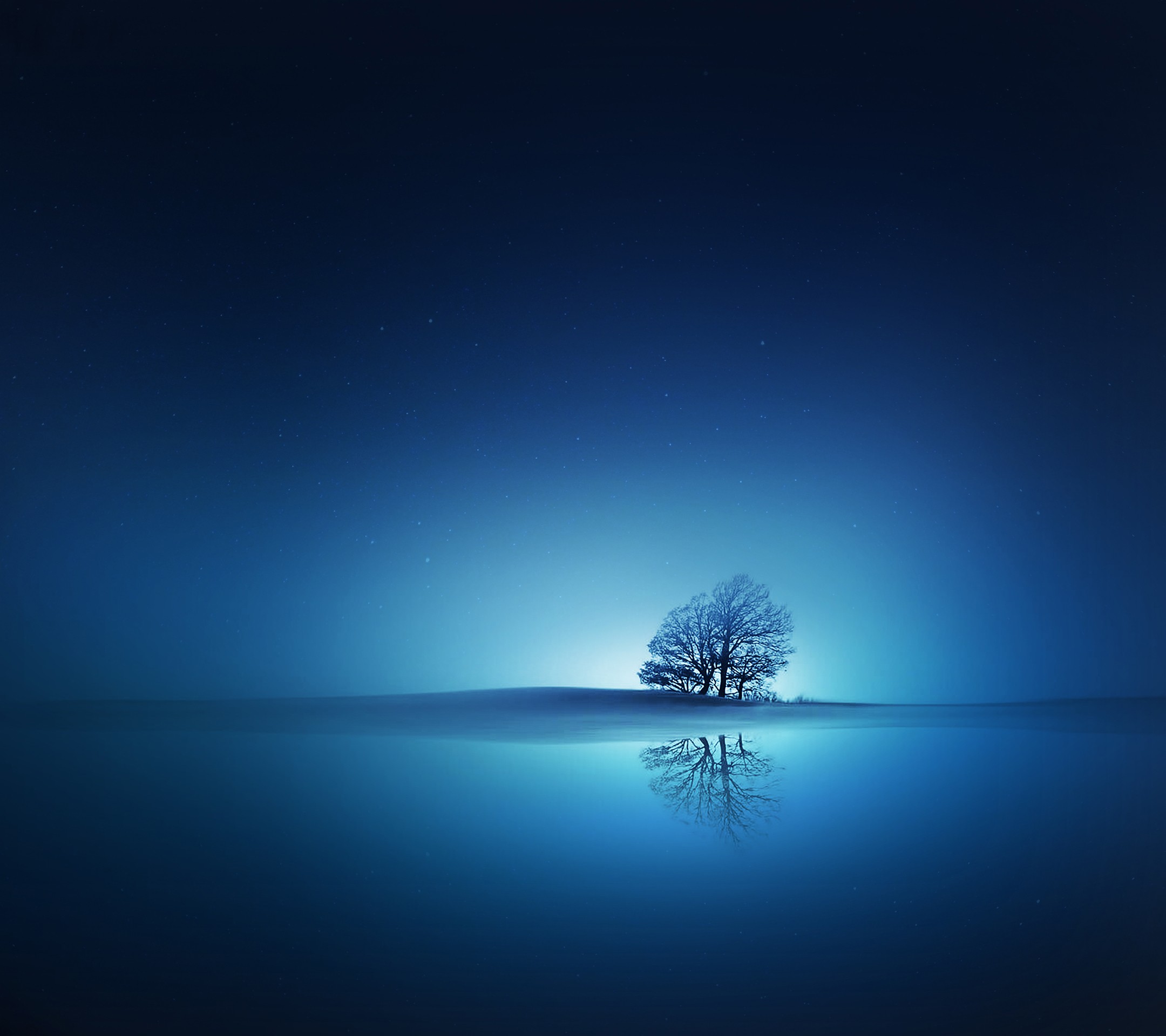 General 2160x1920 blue night sky water reflection trees outdoors sky