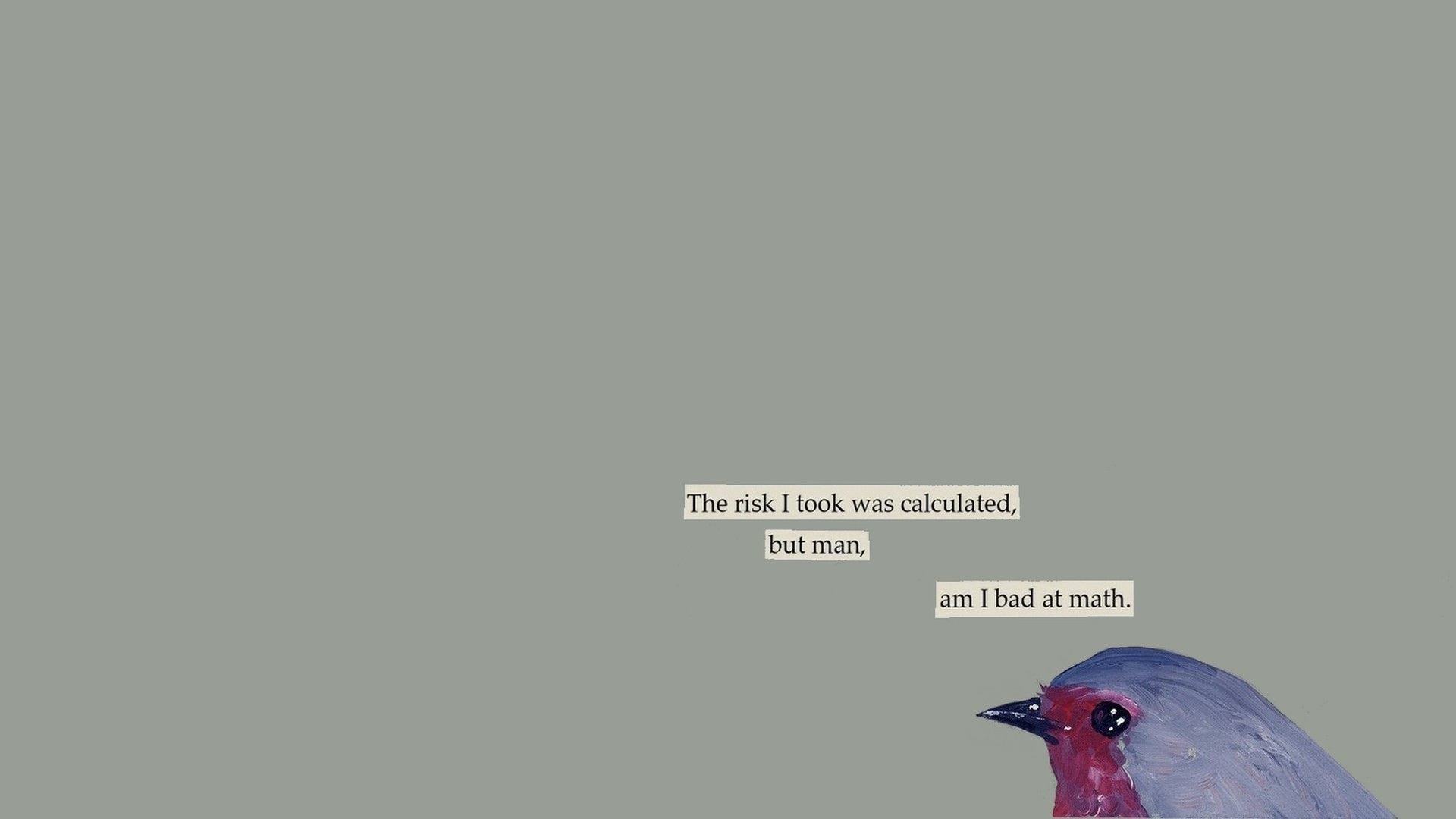 General 1920x1080 text mathematics birds humor