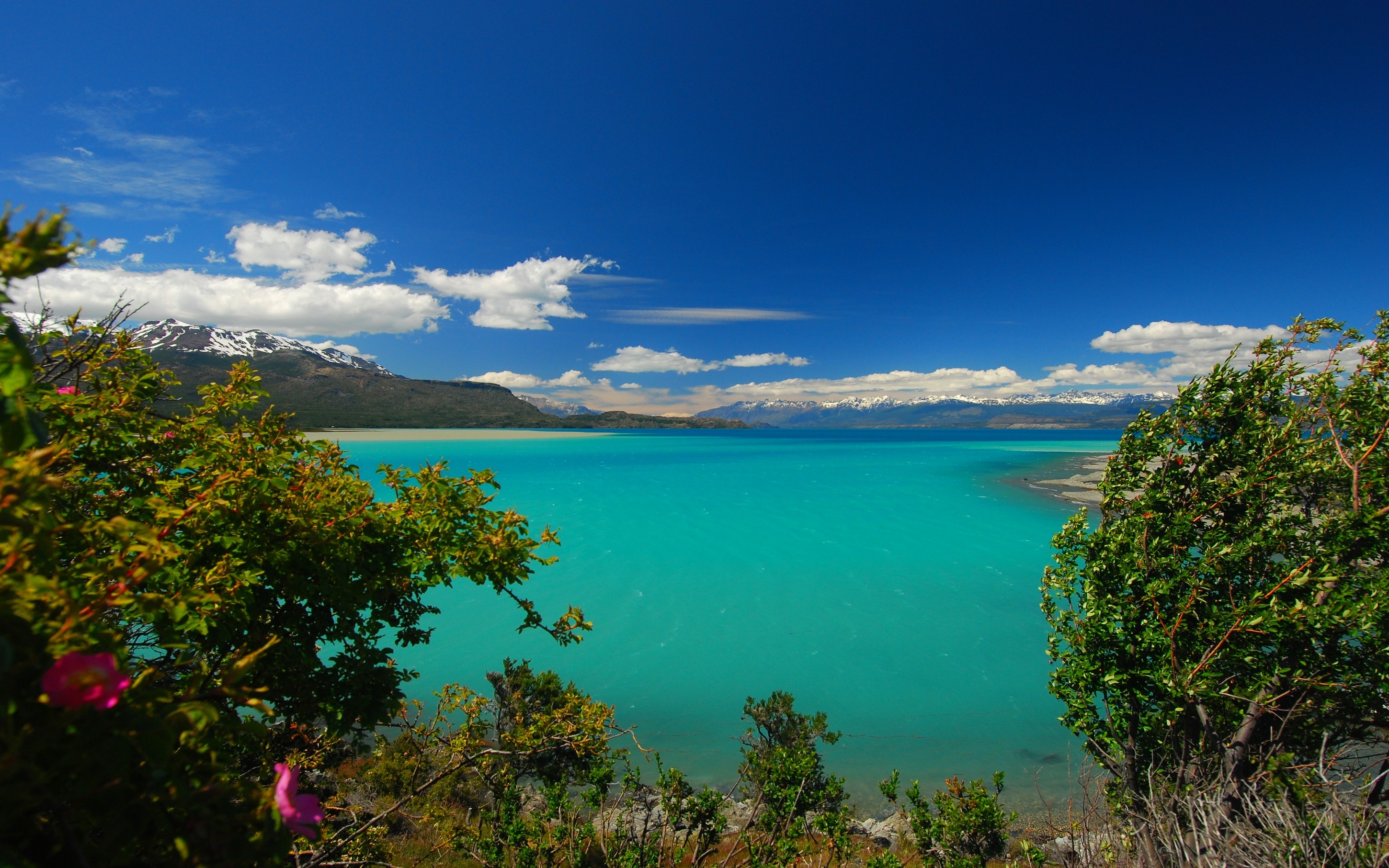 General 2900x1813 nature photography landscape lake turquoise water trees mountains wildflowers wind clouds Patagonia Chile sky