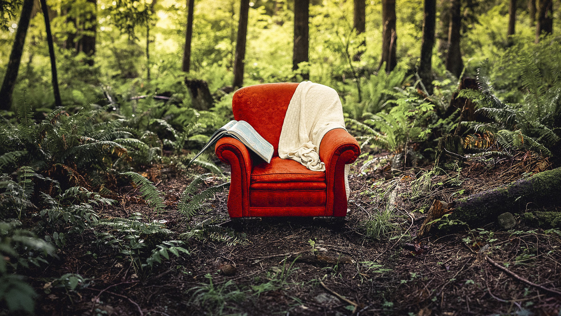 General 1920x1080 forest chair red leaves nature outdoors plants trees