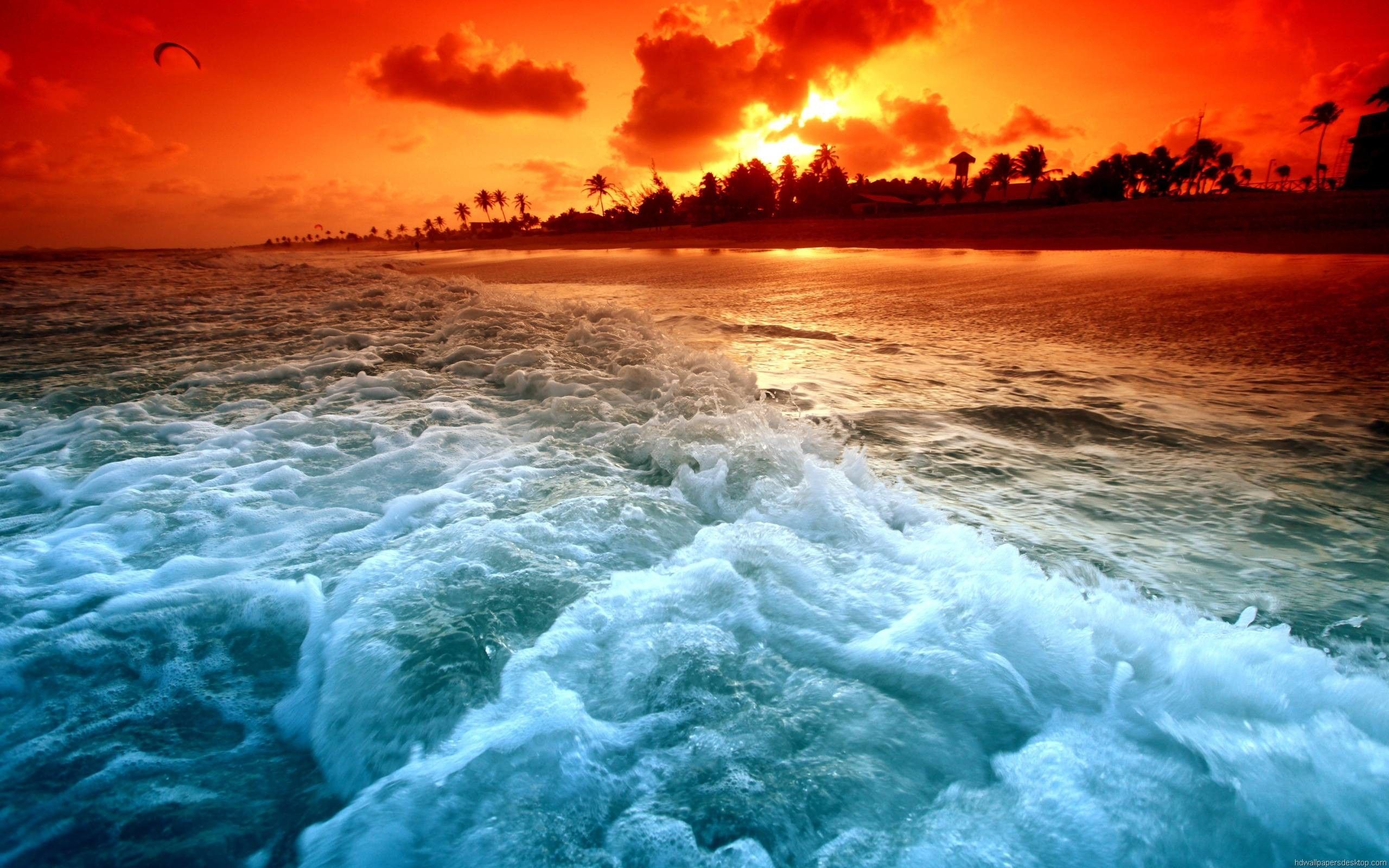 General 2560x1600 sea foam beach tropic island tropical sunset
