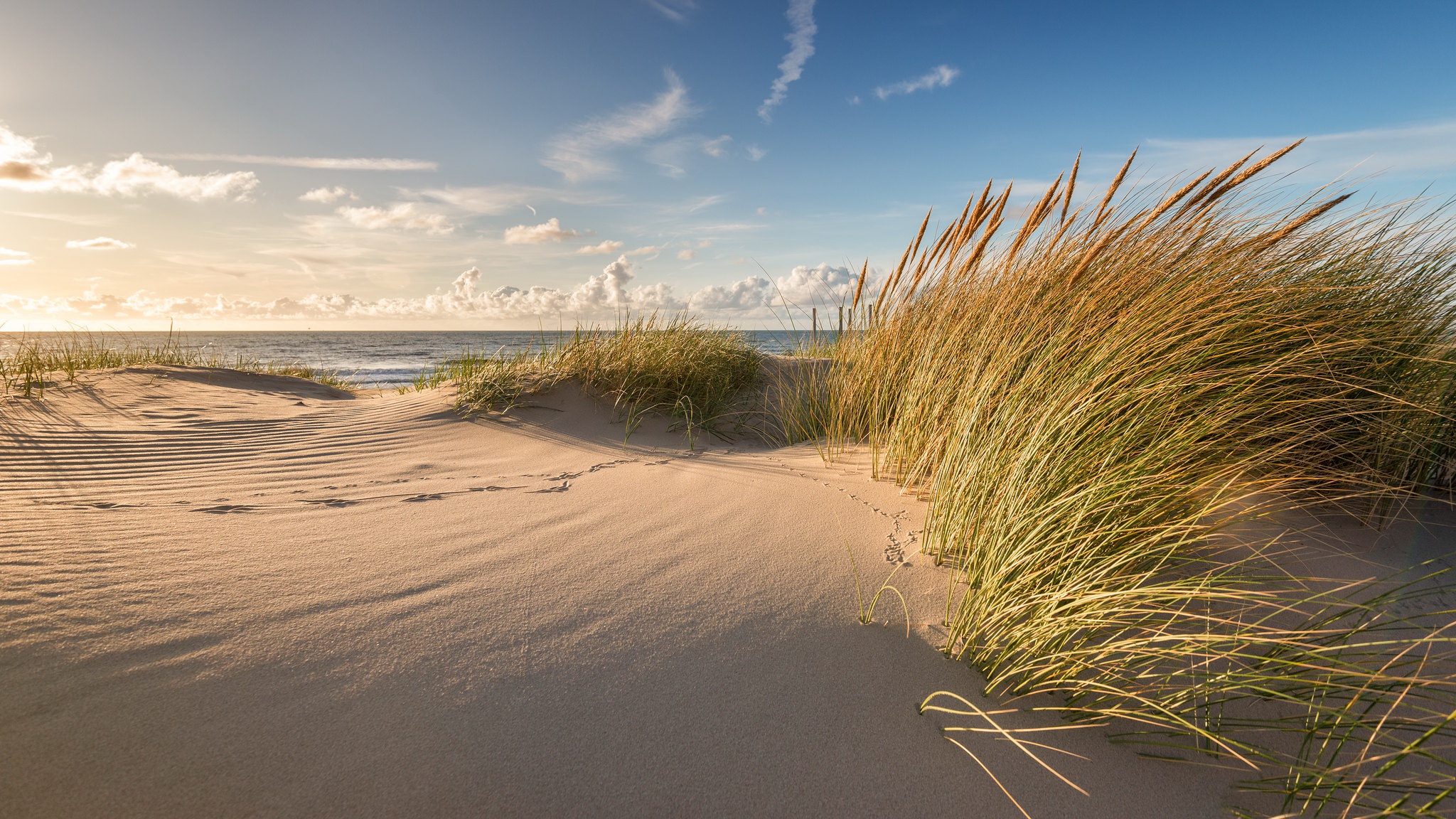 General 2048x1152 sand plants dunes coast outdoors beach horizon sea reeds clouds sky windy calm