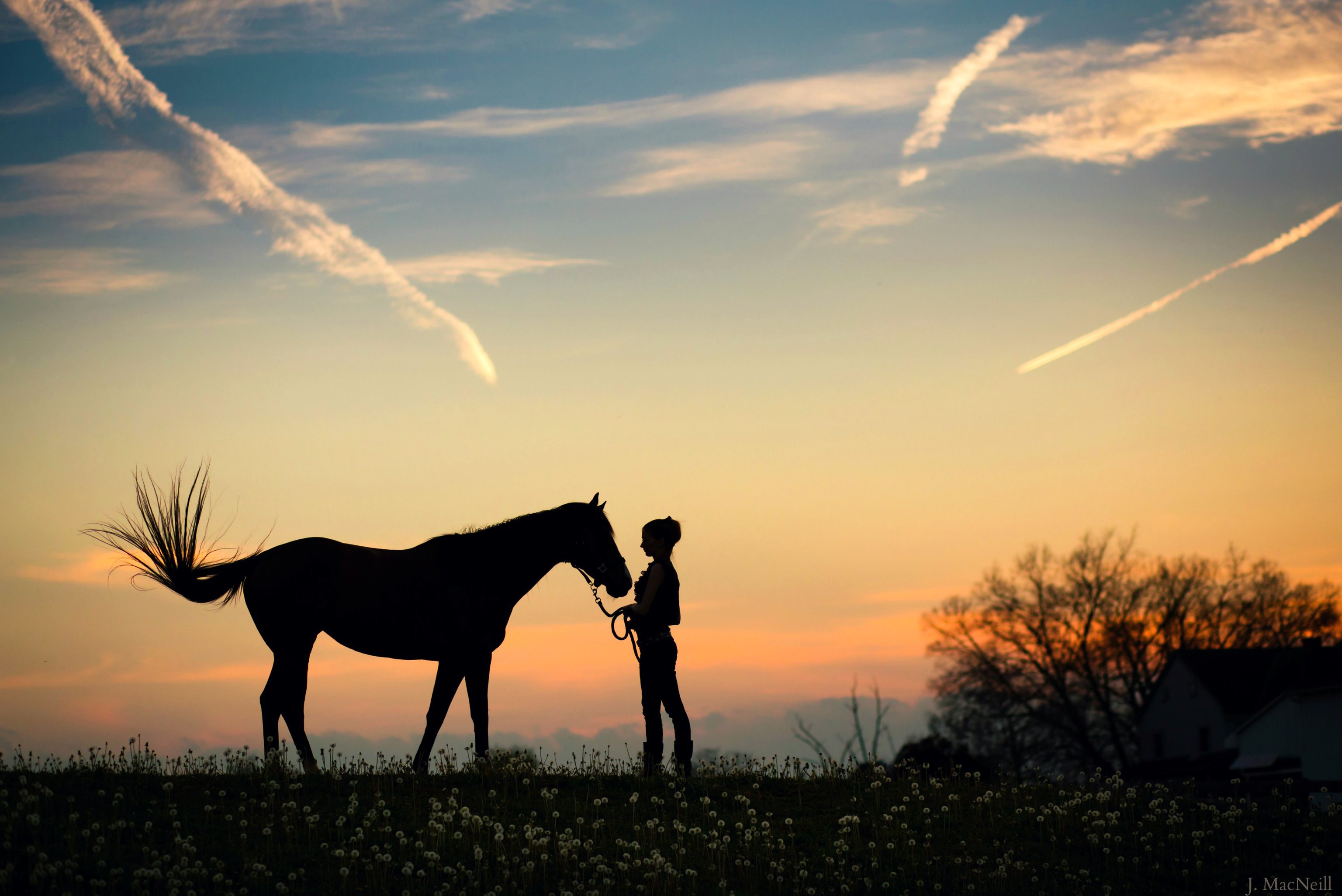 General 3072x2052 horse nature sunset pasture women women outdoors silhouette