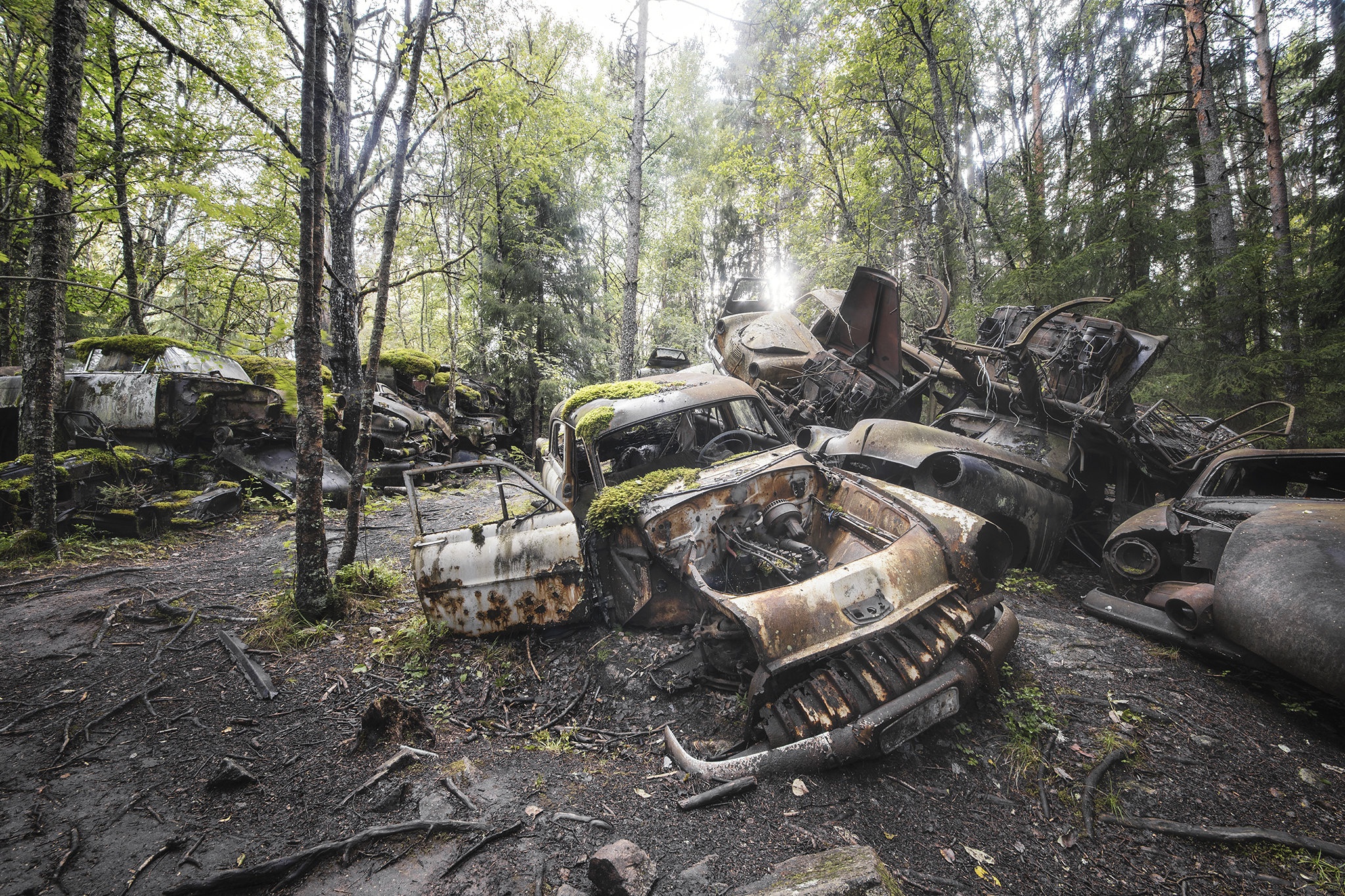 General 2048x1365 car vehicle trees wreck