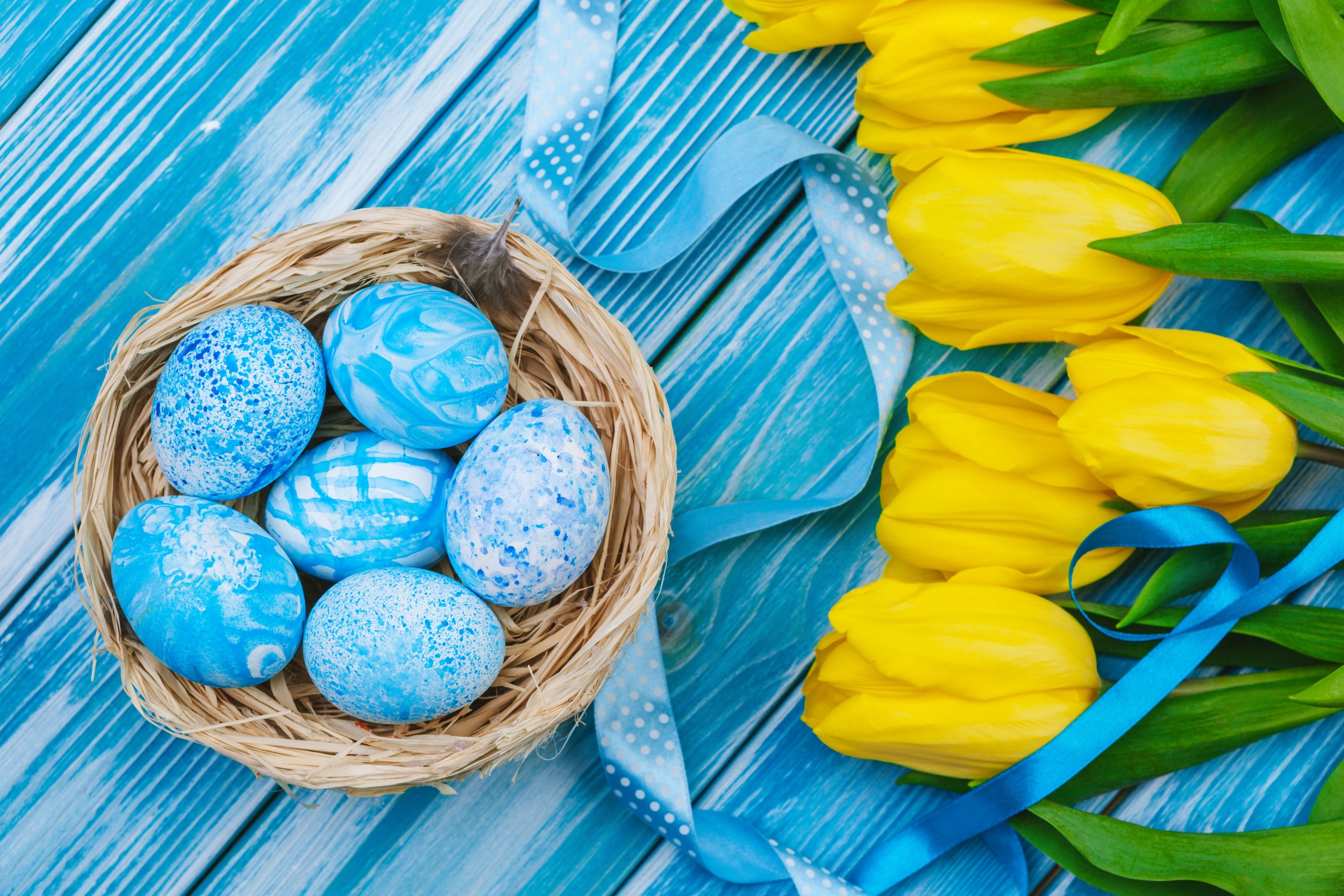 General 2560x1707 colorful eggs Easter holiday flowers plants tulips yellow flowers