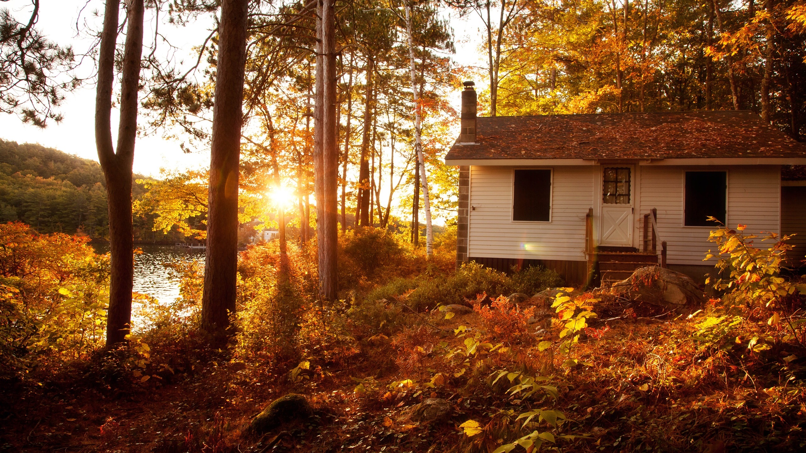 General 2560x1440 house trees plants sunlight fall sunset river forest cabin clear sky fallen leaves orange
