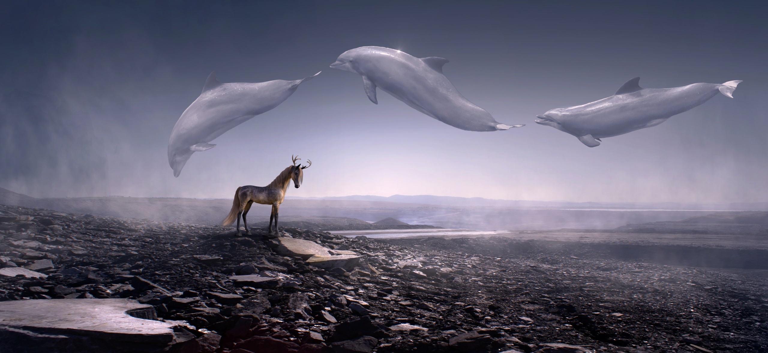 General 2560x1177 artwork animals dolphin landscape sky fantasy art digital art