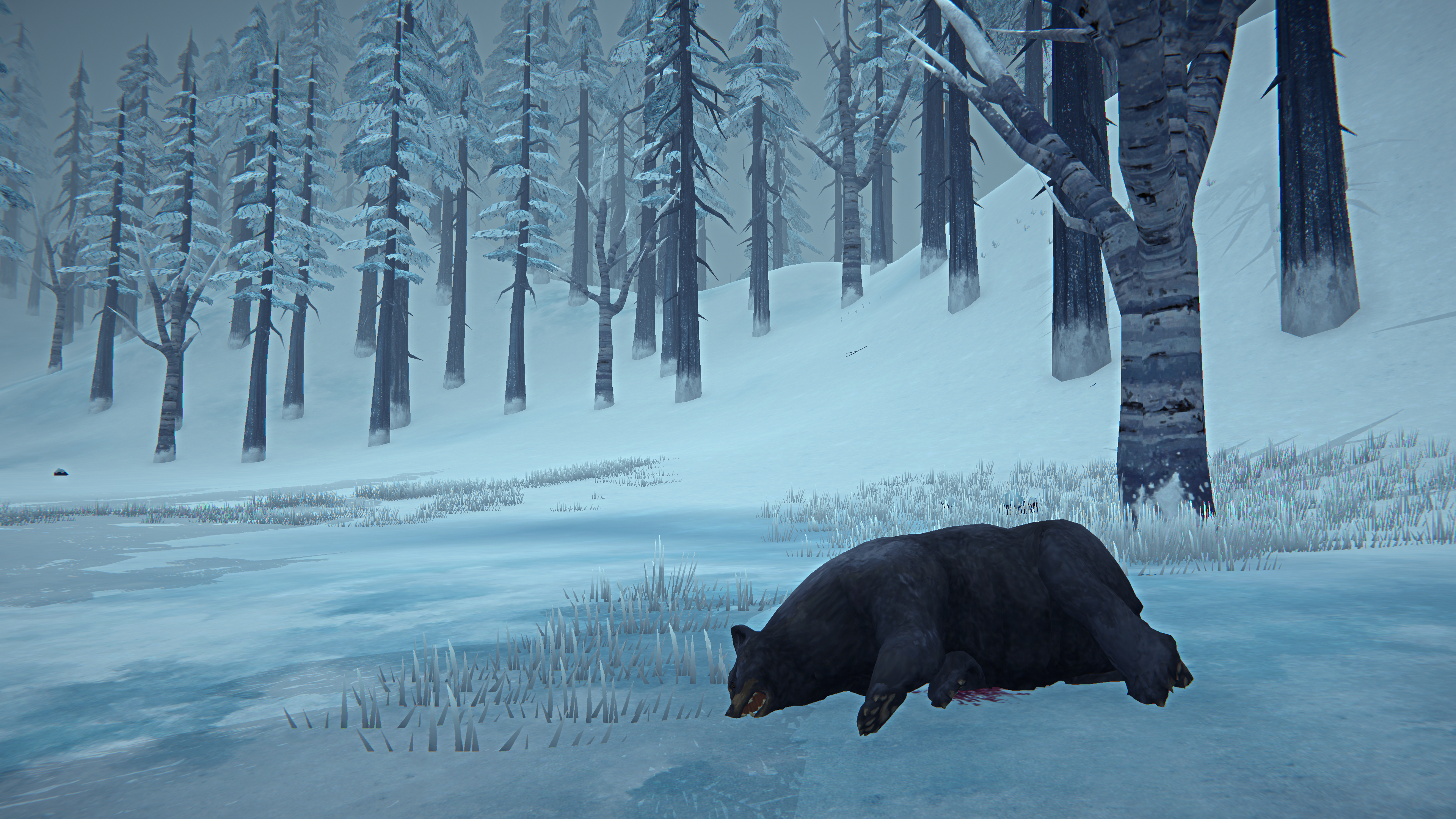 General 3840x2160 The Long Dark PC gaming video game landscape survival screen shot snow bears hunting winter nature video games