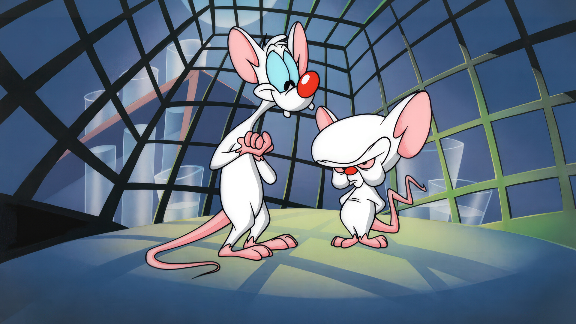 General 1920x1080 Pinky and the Brain animation animated series cartoon mice laboratories cages Warner Brothers production cel