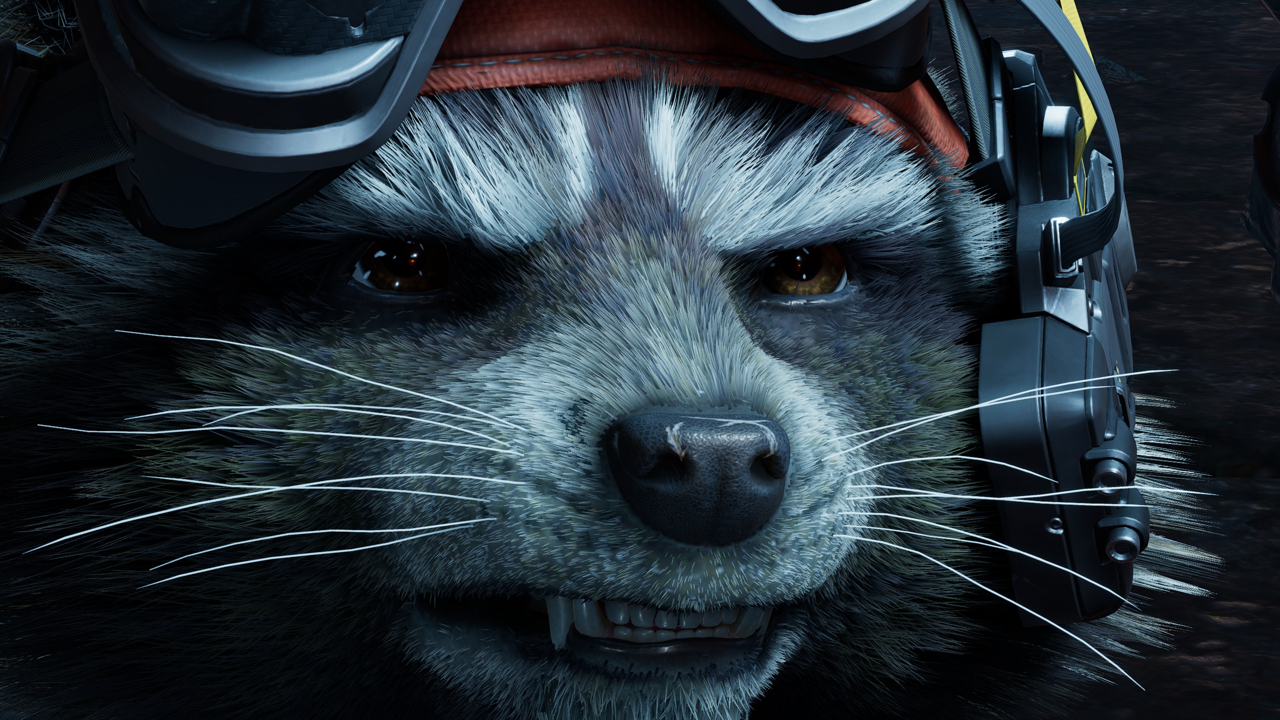 General 2560x1440 Guardians of the Galaxy Guardians of the Galaxy (Game) Rocket Raccoon digital art closeup video games video game art screen shot video game characters CGI whiskers raccoons teeth face nose