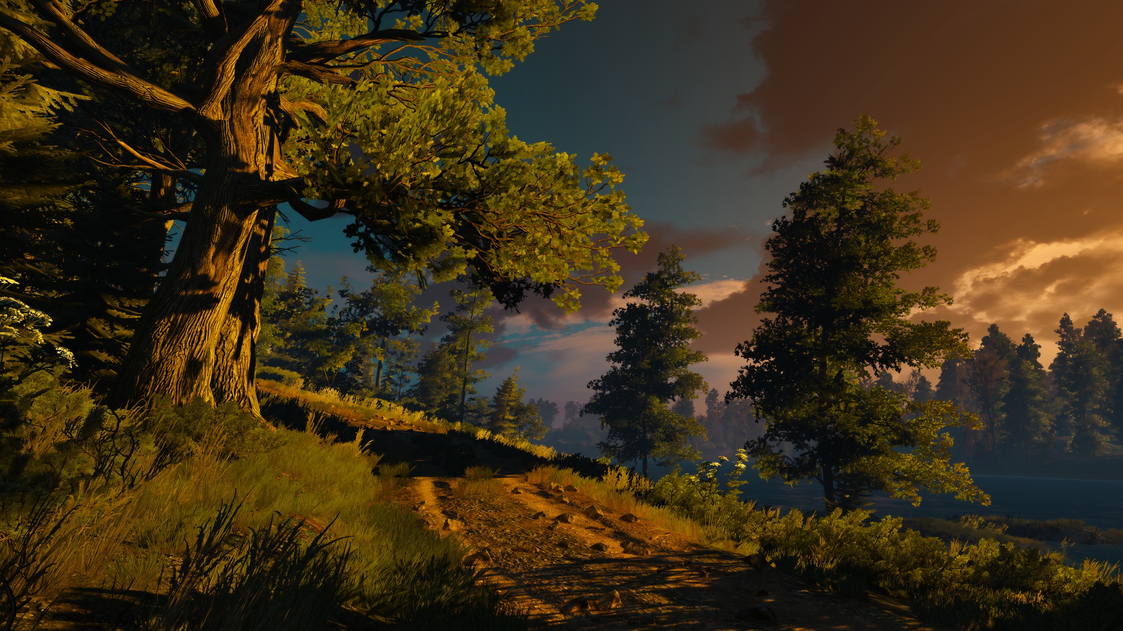 General 3840x2160 The Witcher 3: Wild Hunt screen shot PC gaming Geralt of Rivia The Witcher video game art digital art video games sunlight sunset sunset glow sky clouds trees path forest water CGI branch leaves