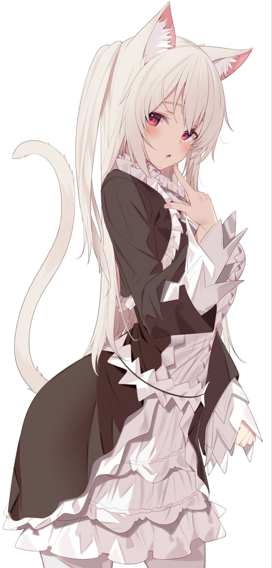 Anime 922x1920 anime girls maid maid outfit cat girl cat ears cat tail looking at viewer blushing long hair white hair minimalism simple background white background portrait display