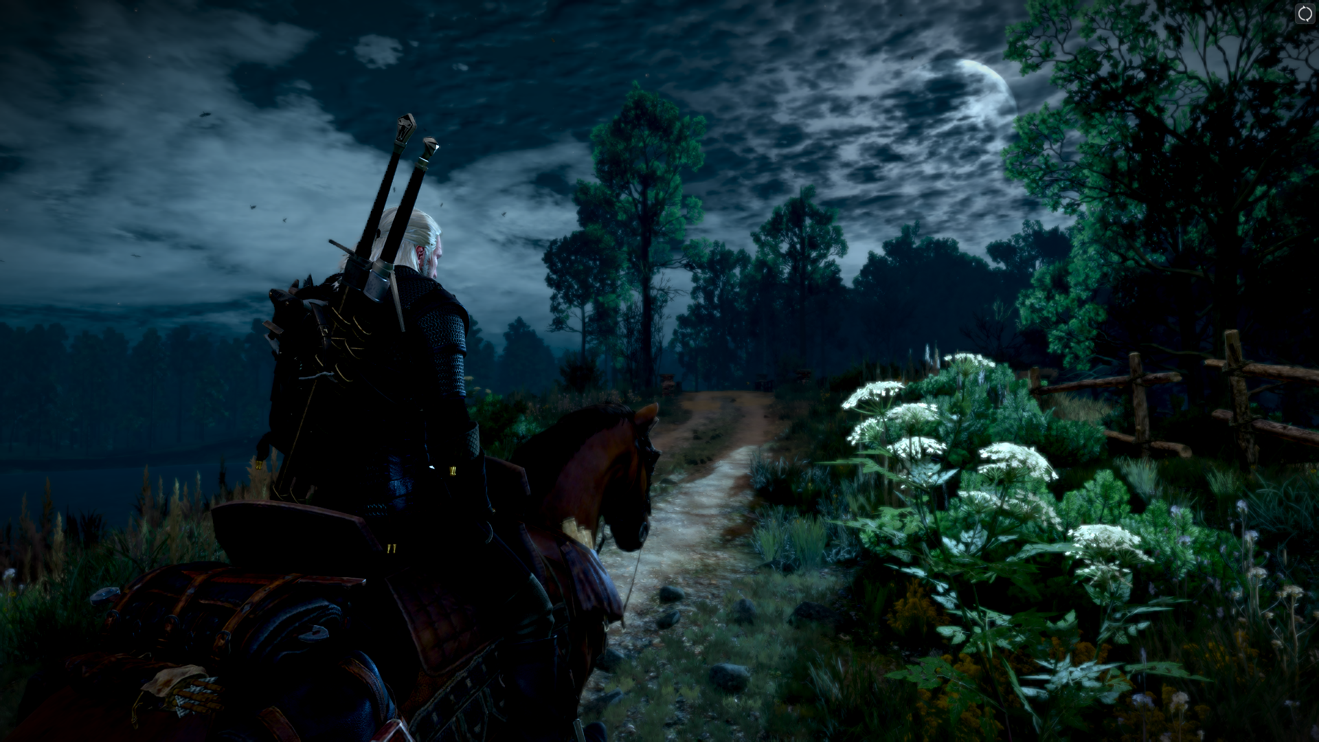 General 1920x1080 The Witcher 3: Wild Hunt video games horse horseback clouds video game art flowers video game characters CGI sky path night forest moonlight Moon animals