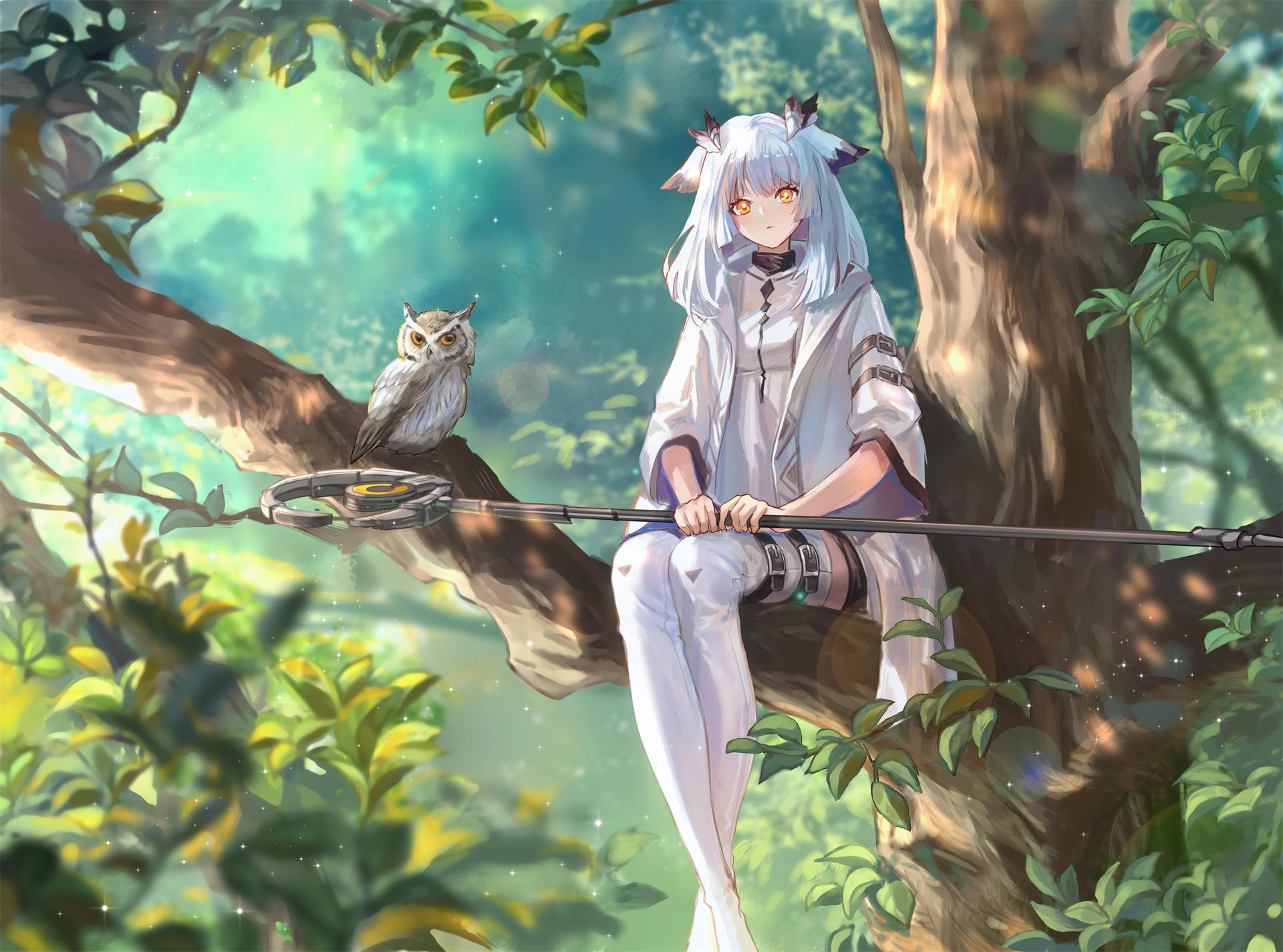 Anime 1920x1425 anime girls leaves branch trees owl animals nature forest looking at viewer Ptilopsis(Arknights)