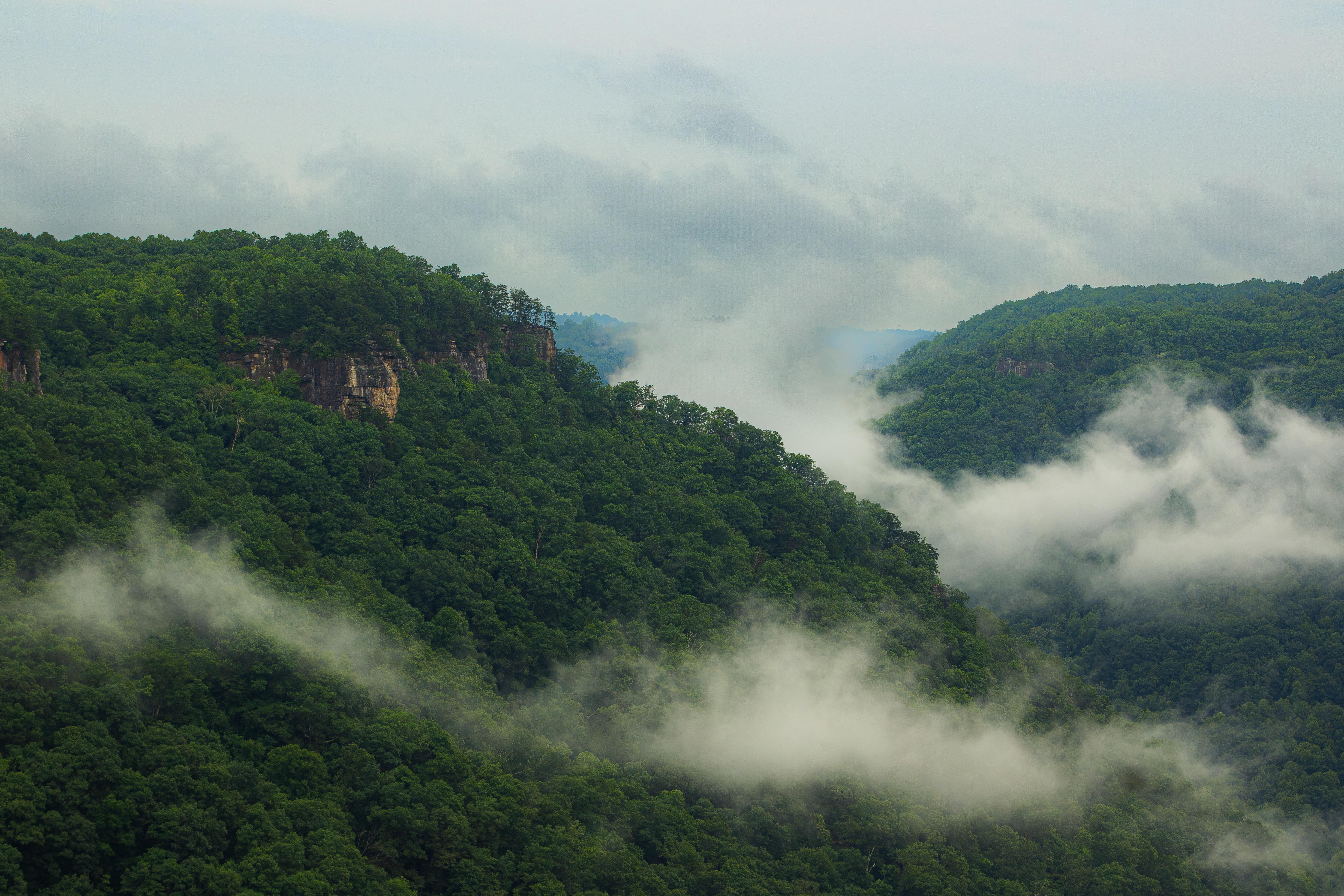 General 4929x3286 clouds mist fog forest landscape nature West Virginia USA North America cliff hills national park