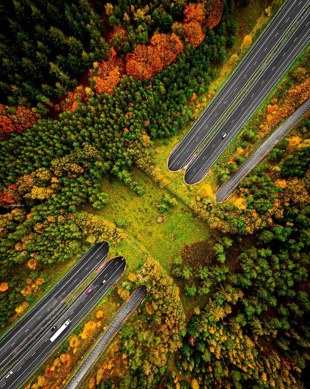 General 1080x1351 nature landscape portrait display road highway aerial view drone photo forest trees car fall wildlife crossings