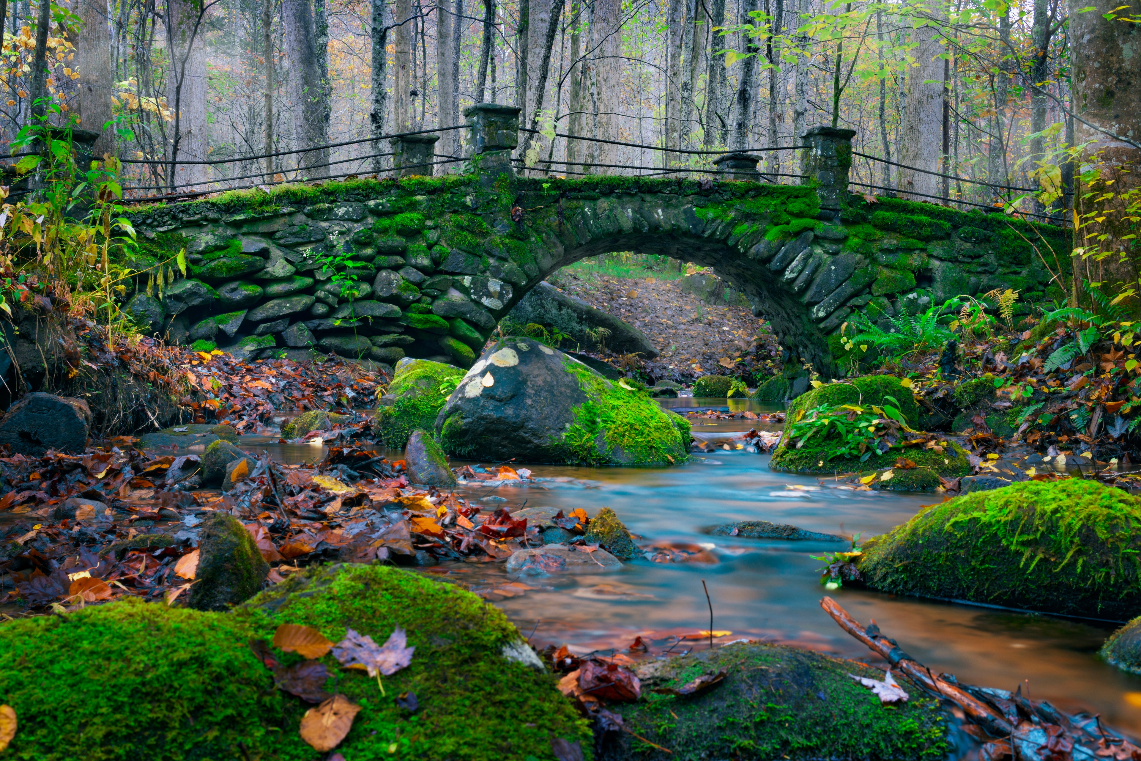 General 3840x2560 nature forest bridge stream moss stones