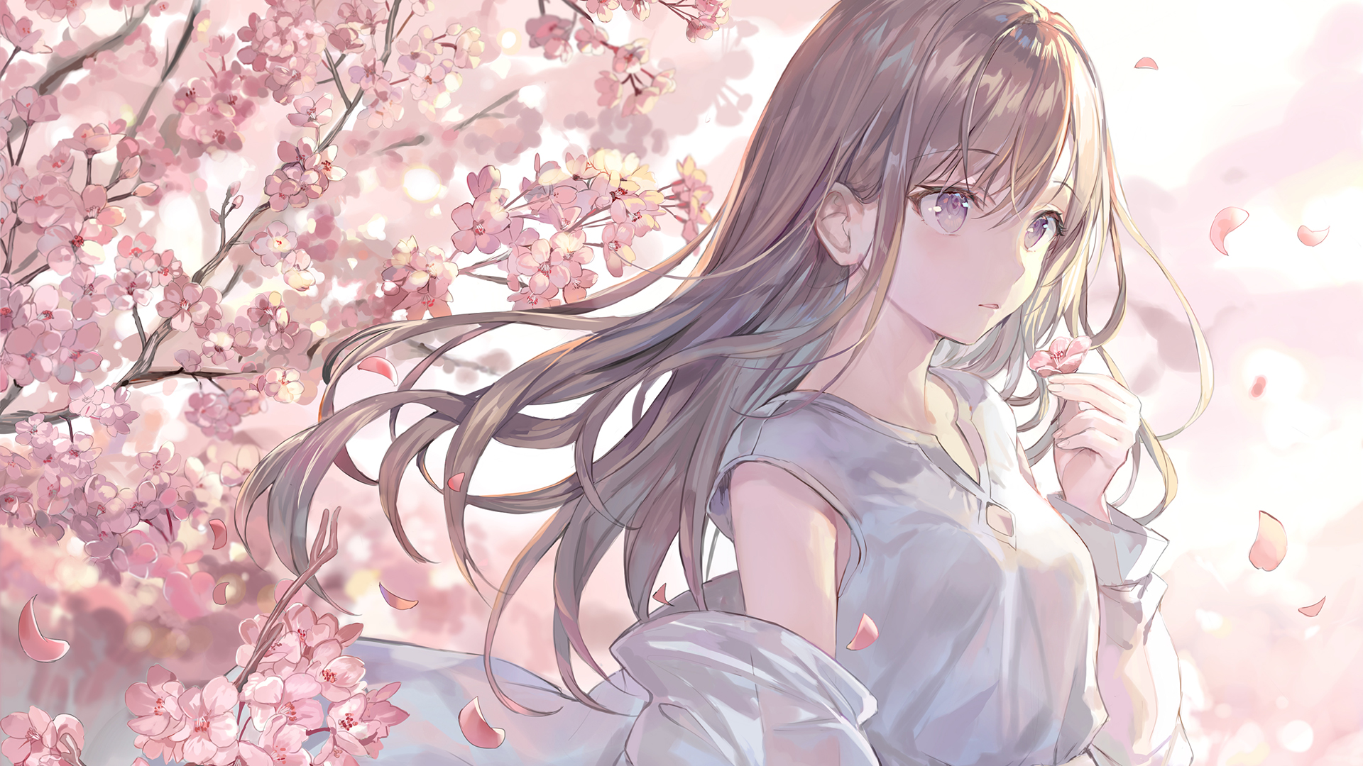 Anime 1920x1080 anime girls artwork Momoko cherry blossom brunette