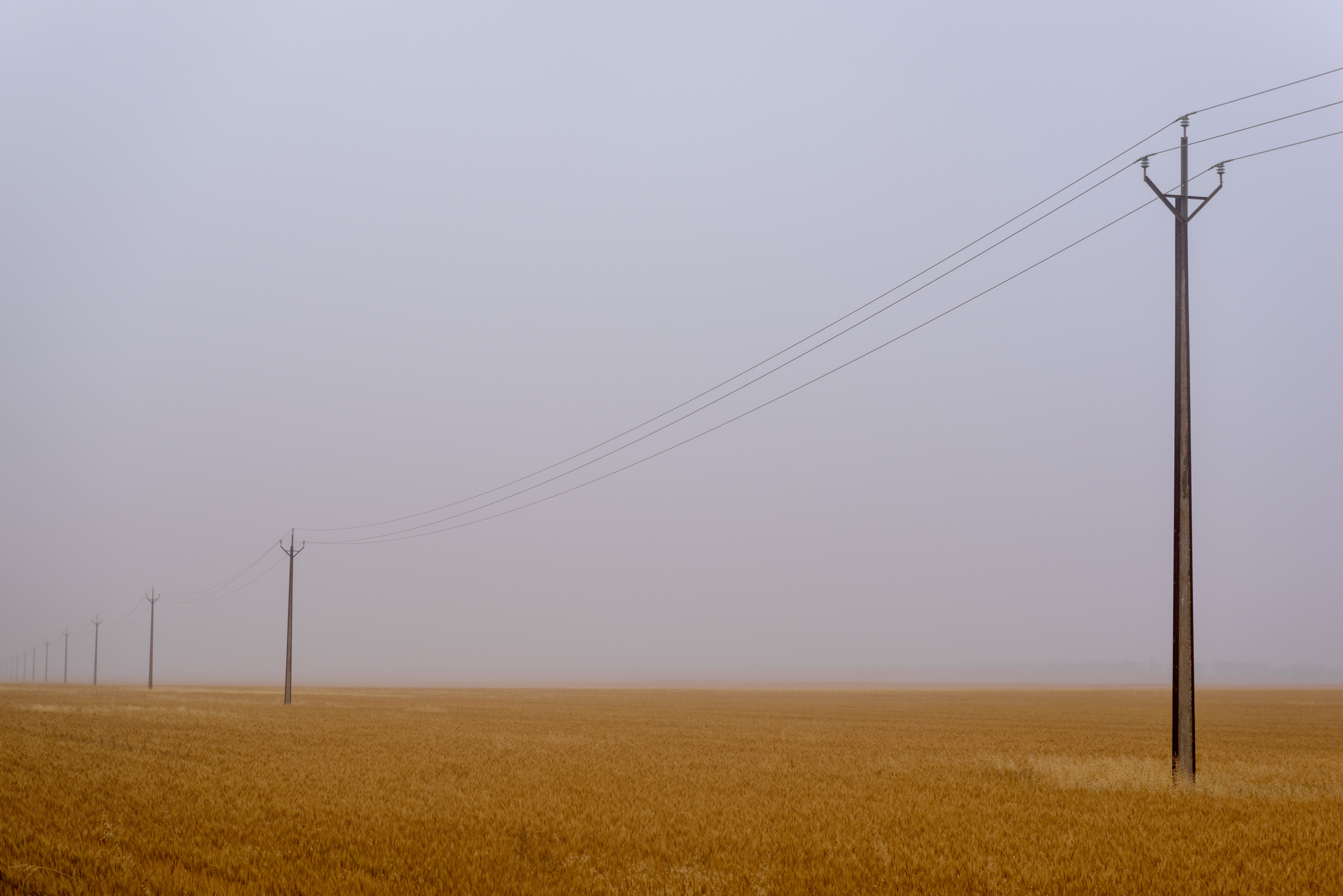 General 6016x4016 nature landscape Australia mist farm field power lines utility pole