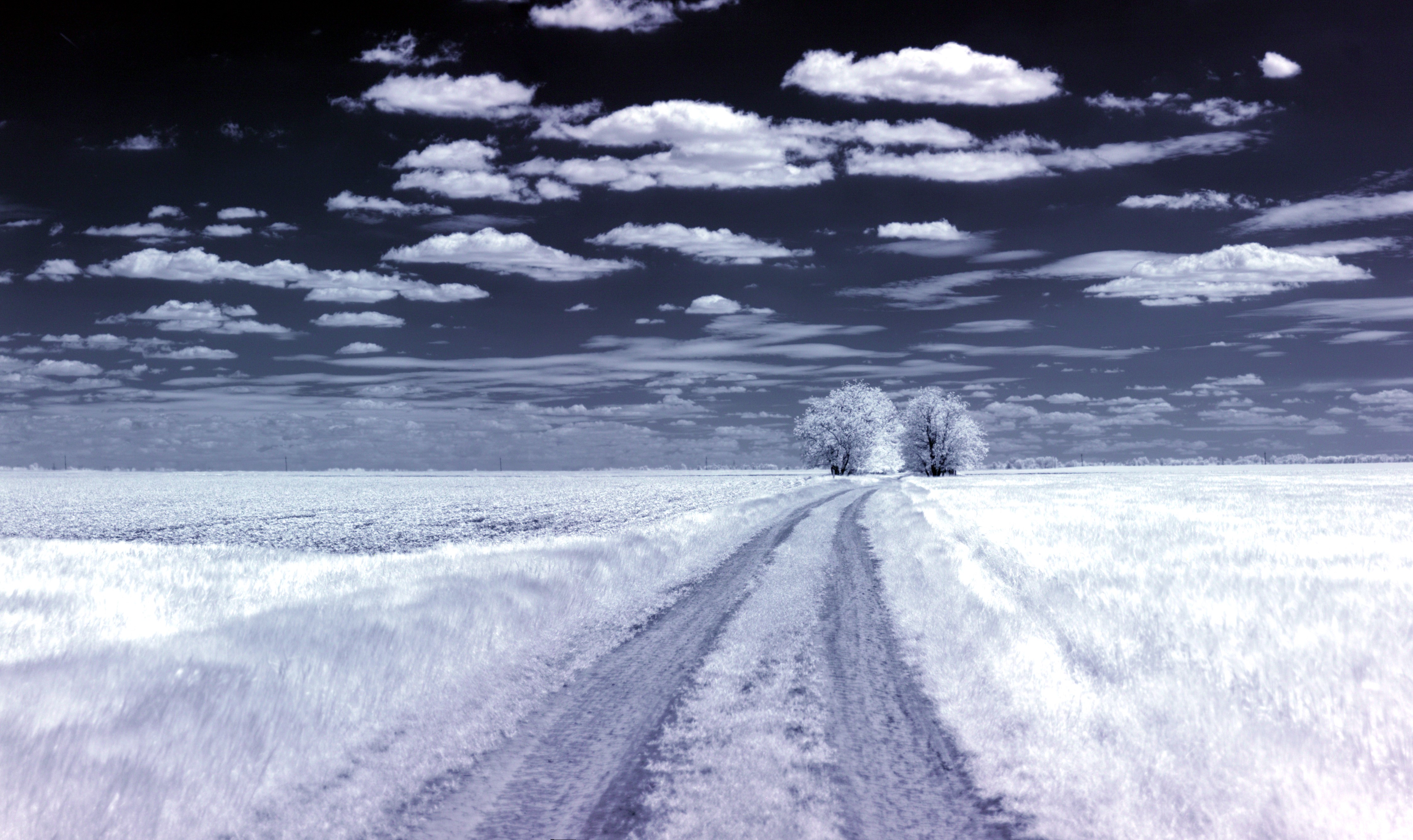 General 4478x2663 infrared trees clouds landscape blue white nature grass field