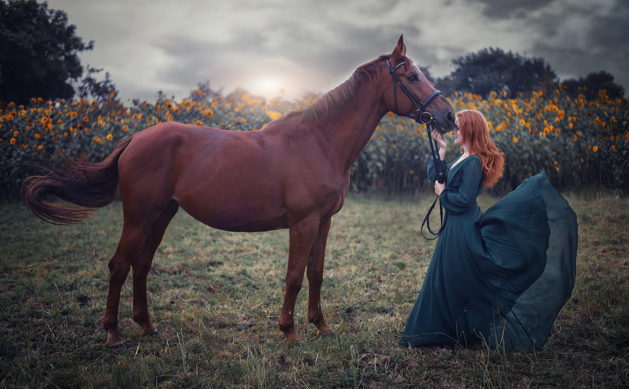 People 2048x1265 model women outdoors redhead sunflowers horse dress smiling profile women with horse depth of field field side view animals women