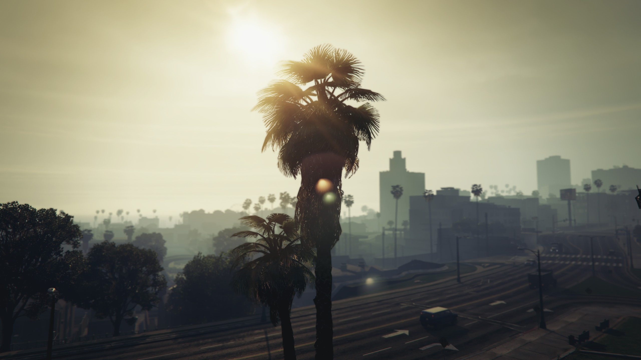 General 2560x1440 Grand Theft Auto V video games screen shot palm trees PC gaming