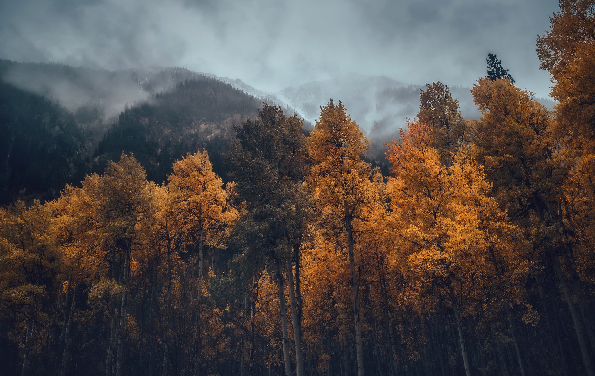 General 2047x1293 fall trees nature mountains forest mist