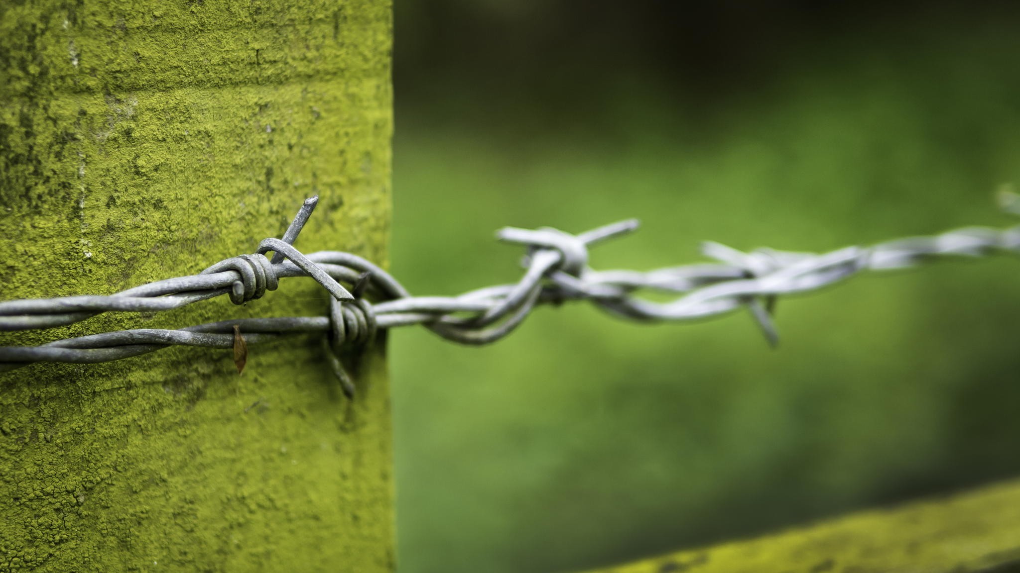 General 2048x1152 photography macro fence depth of field wood barbed wire