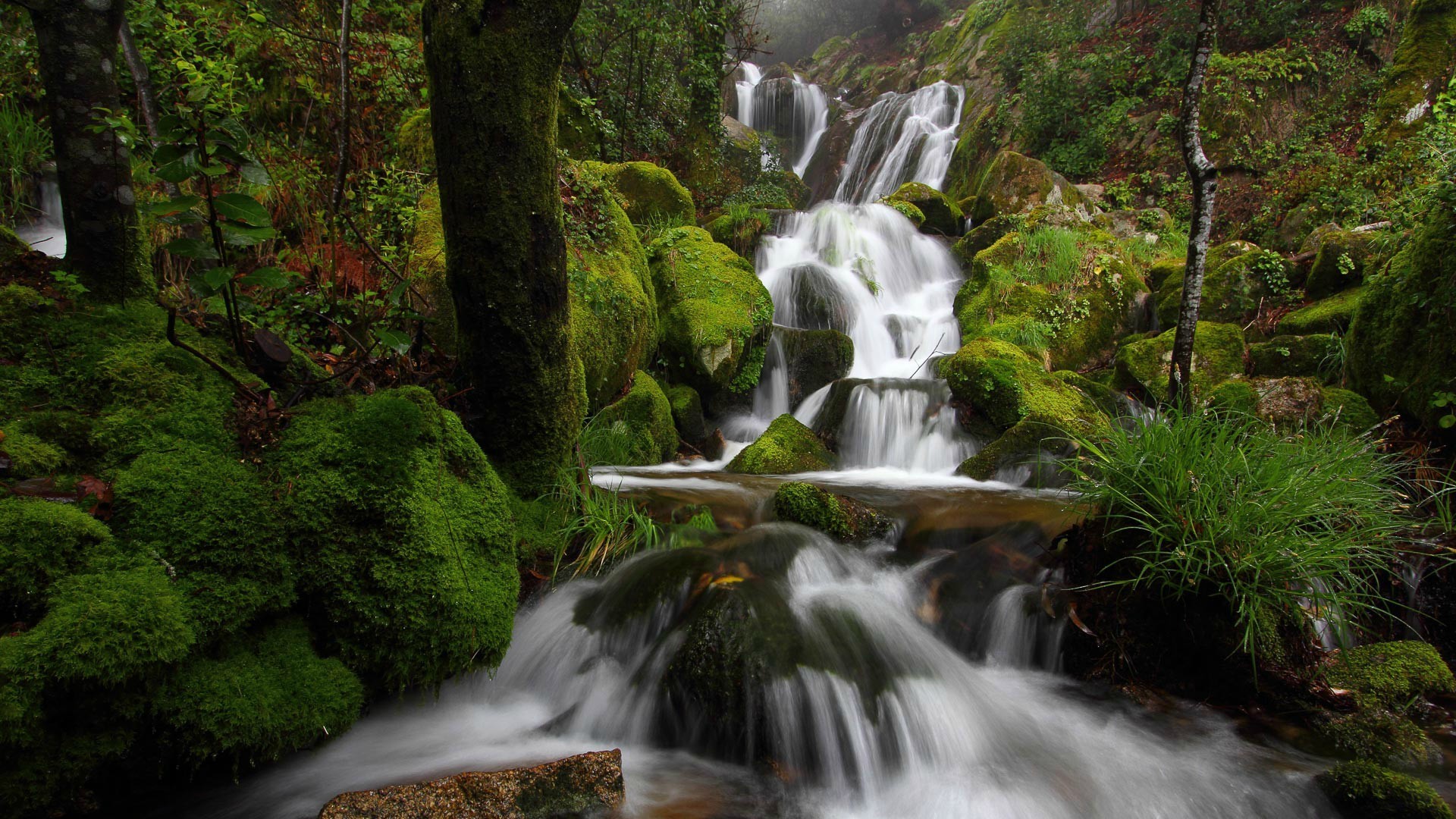 General 1920x1080 photography nature waterfall moss rocks stones creeks long exposure water trees plants