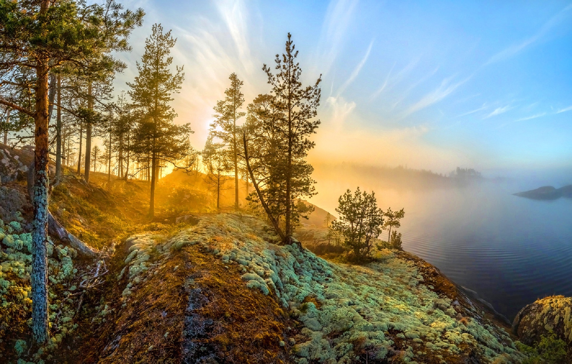 General 1920x1222 nature blue sky landscape trees mist yellow sunrise lake pine trees moss rocks