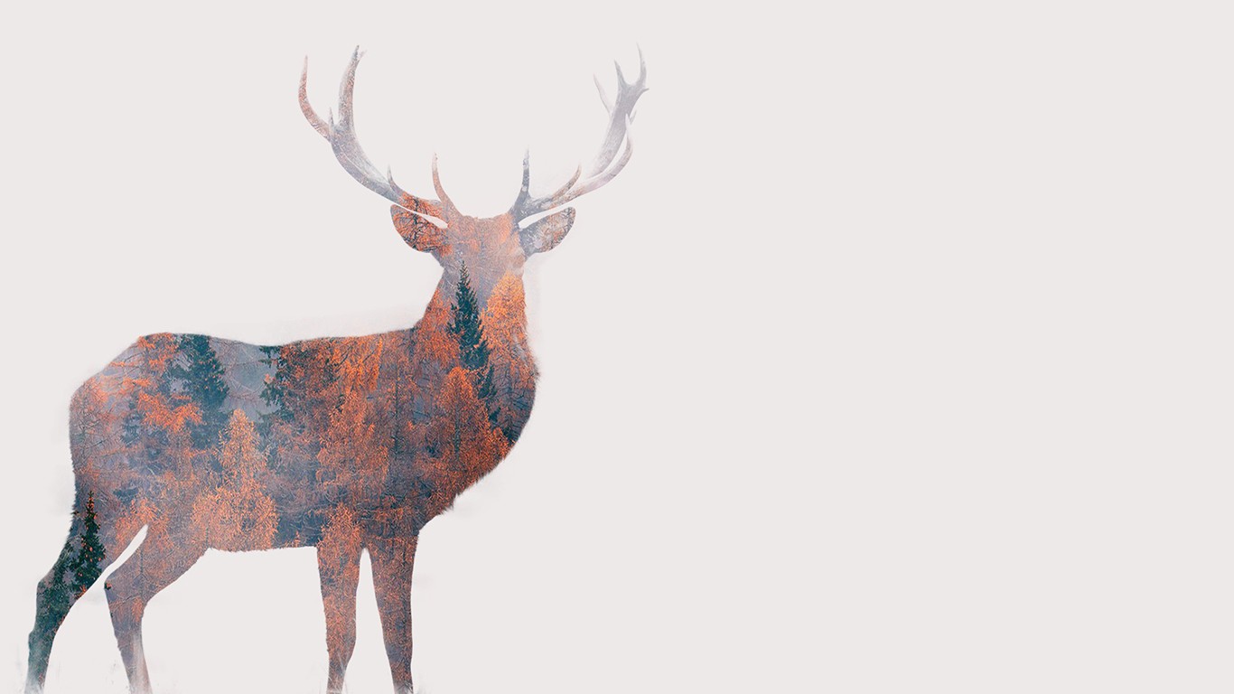 General 1366x768 digital art animals double exposure nature trees forest fall simple background deer antlers white background