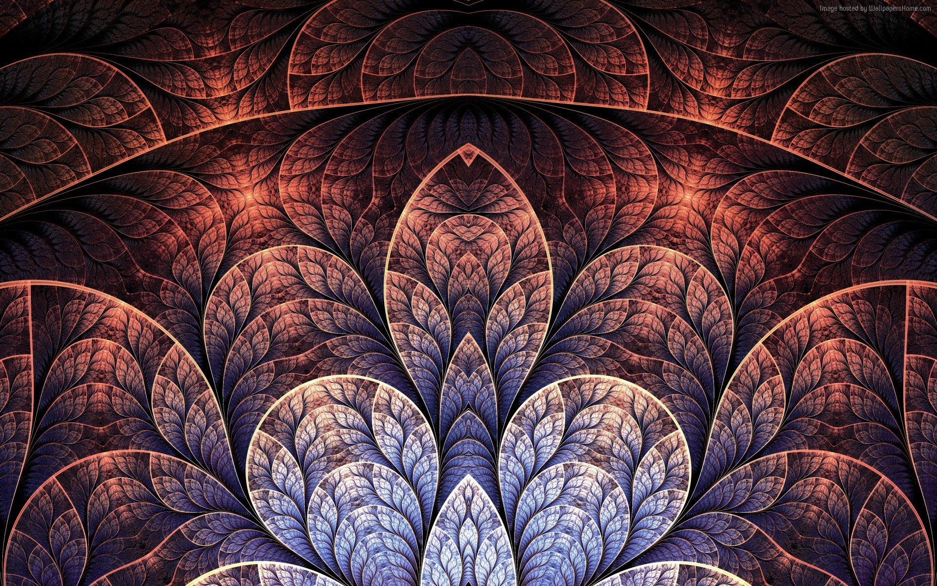 General 1920x1200 abstract fractal digital art symmetry