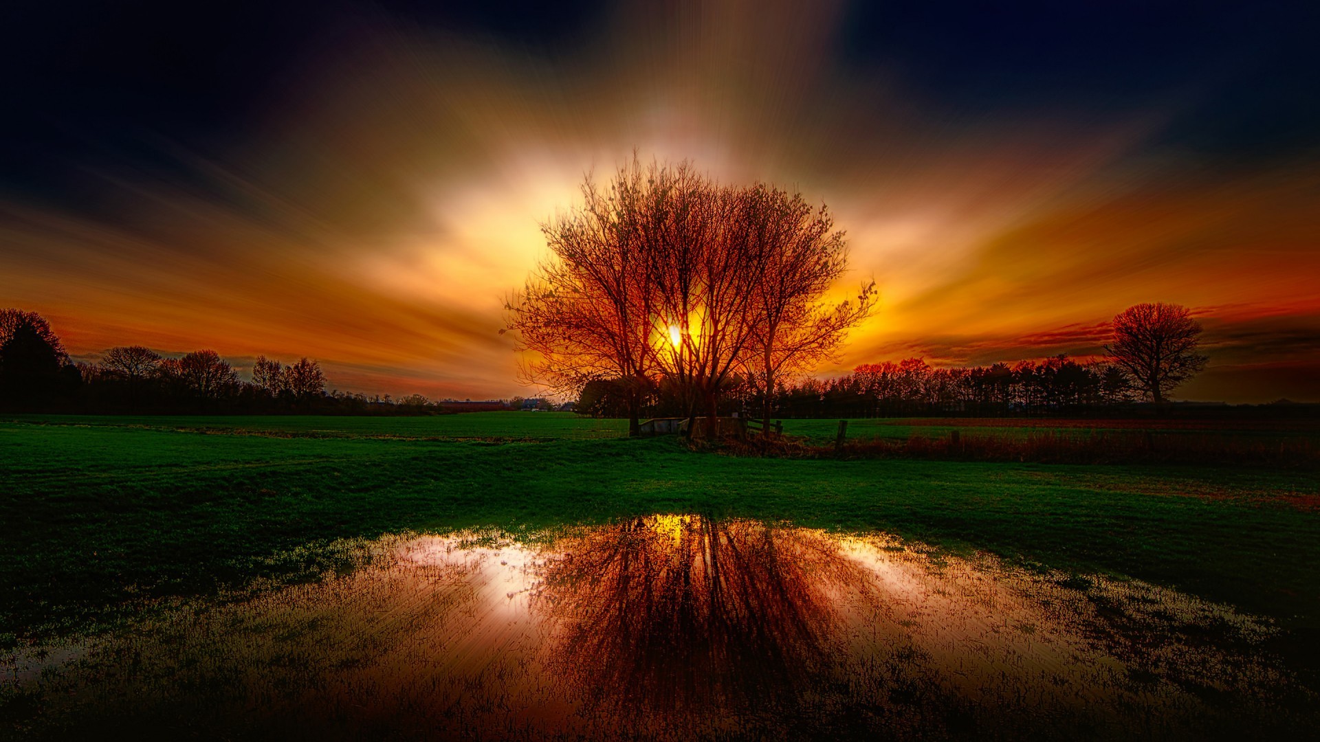 General 1920x1080 nature HDR pond trees sunset landscape sunlight reflection field low light