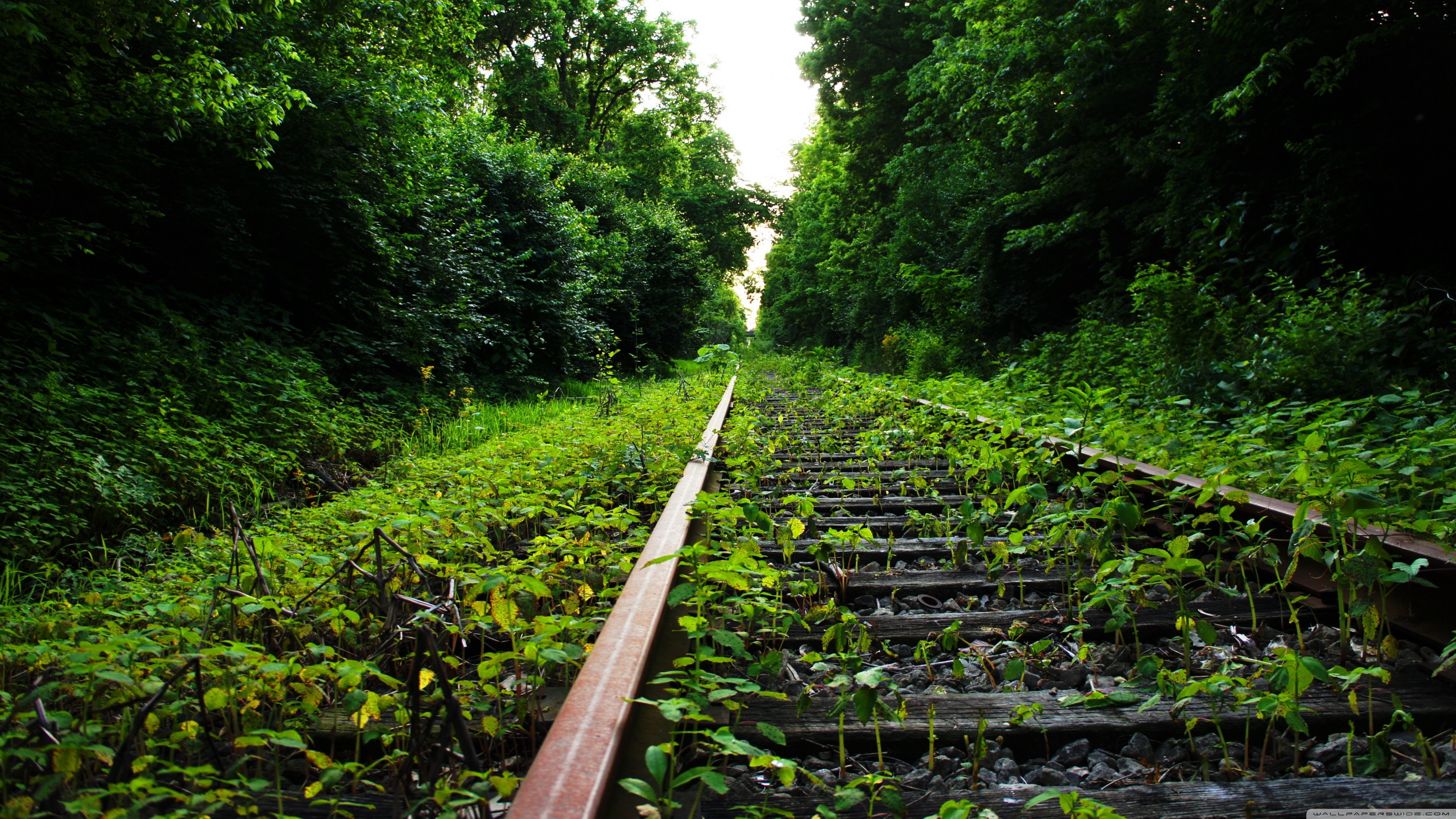 General 3840x2160 railway nature plants abandoned