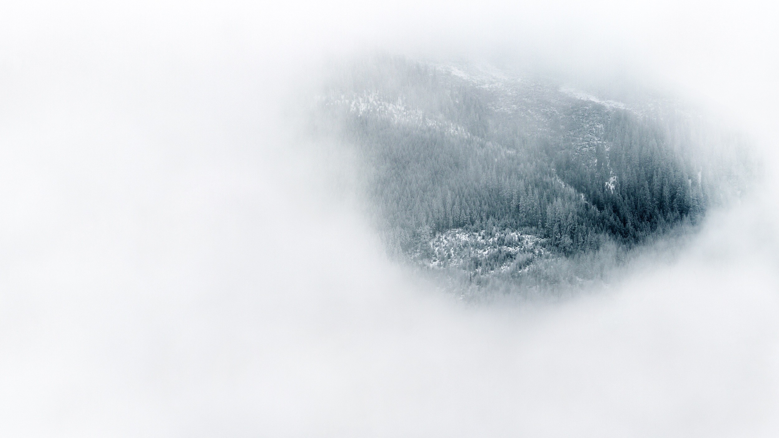 General 2500x1406 nature landscape trees forest mist white background winter snow pine trees aerial view hills