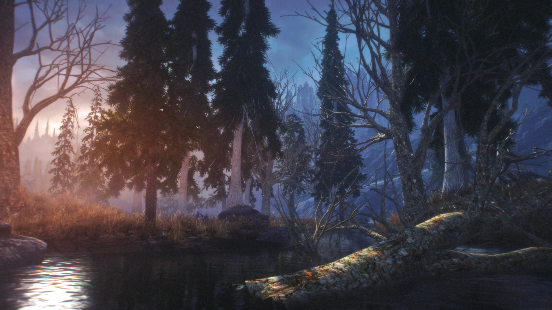 General 1920x1080 The Elder Scrolls V: Skyrim landscape pine trees The Elder Scrolls digital art video games