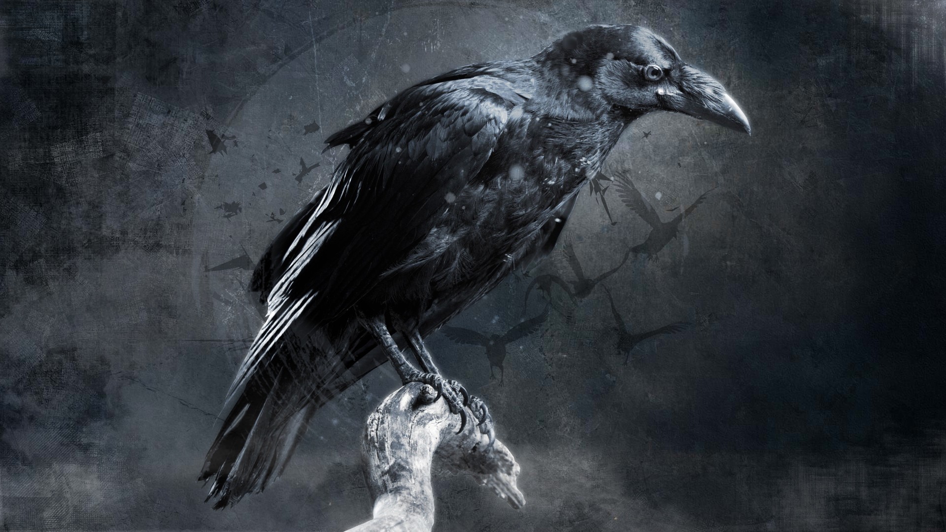 General 1920x1080 crow digital art fantasy art animals birds