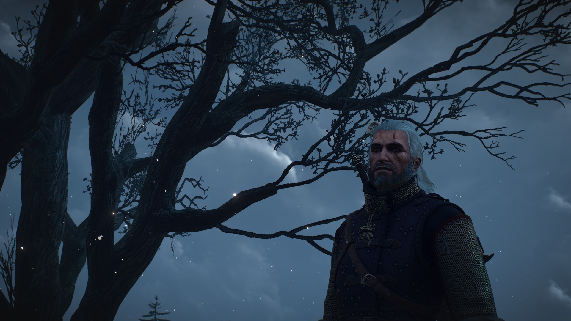 General 1920x1080 The Witcher 3: Wild Hunt video games Skellige Geralt of Rivia screen shot