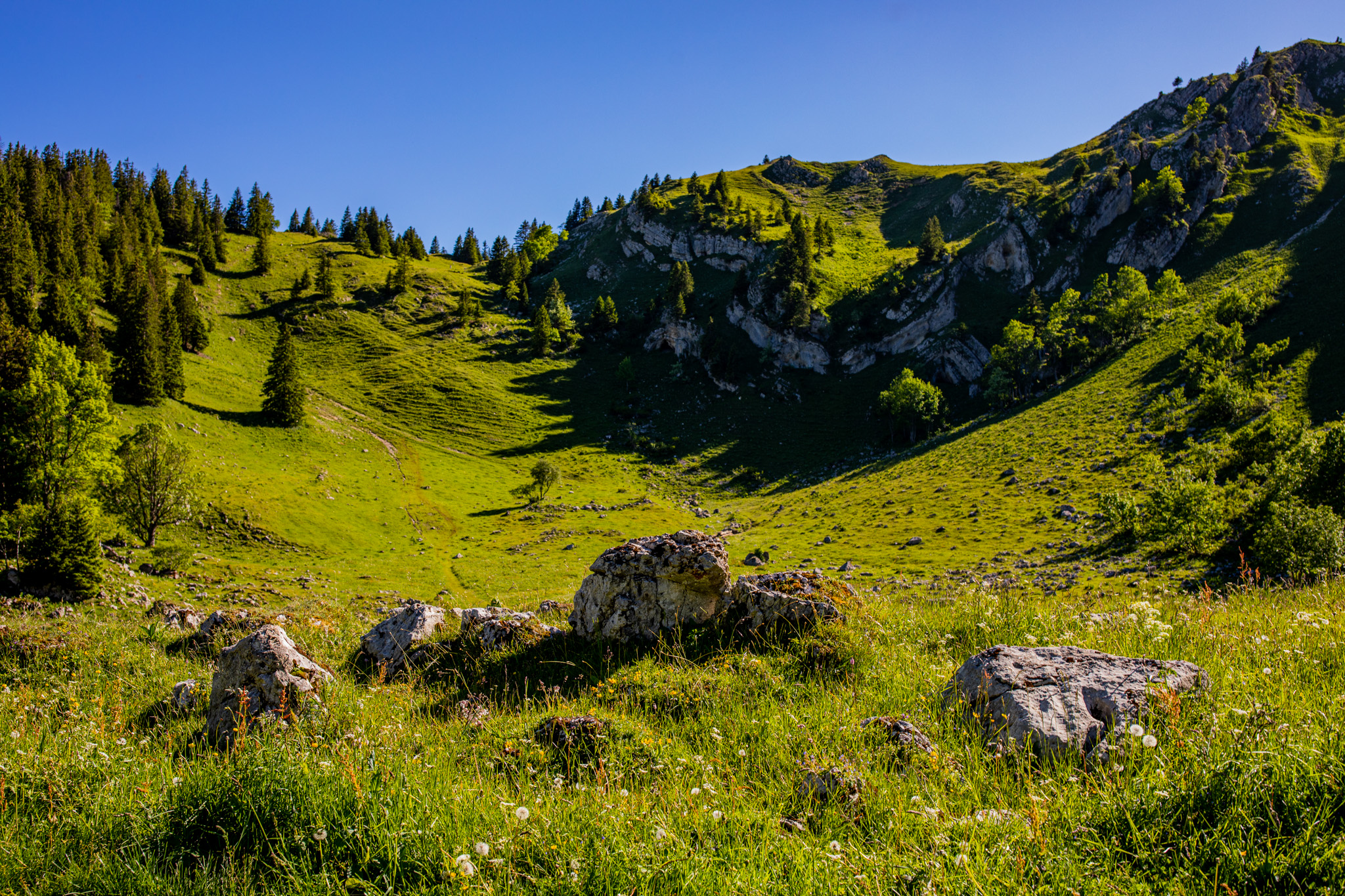 General 2048x1365 photography outdoors nature mountains trees rocks forest greenery grass field cliff