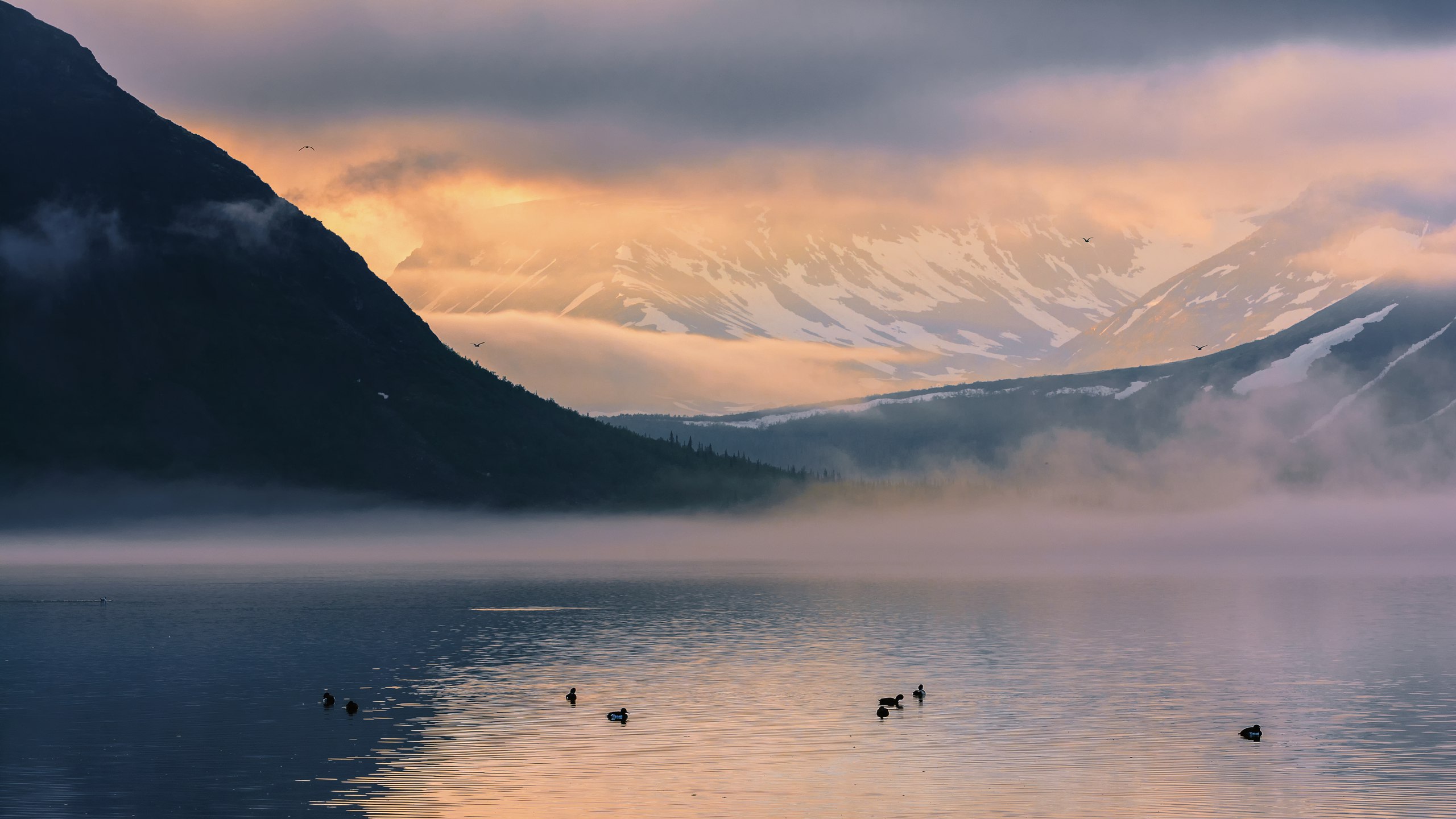General 2560x1440 nature landscape mountains snow water lake river mist clouds duck sky