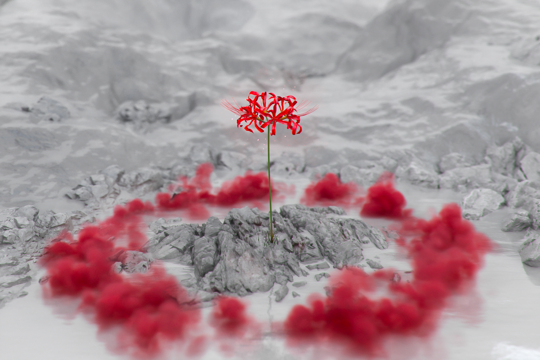 General 1800x1200 spider lilies smoke red 3D Abstract CGI digital art landscape ash particles reflection abstract flowers rocks Alex Agreto