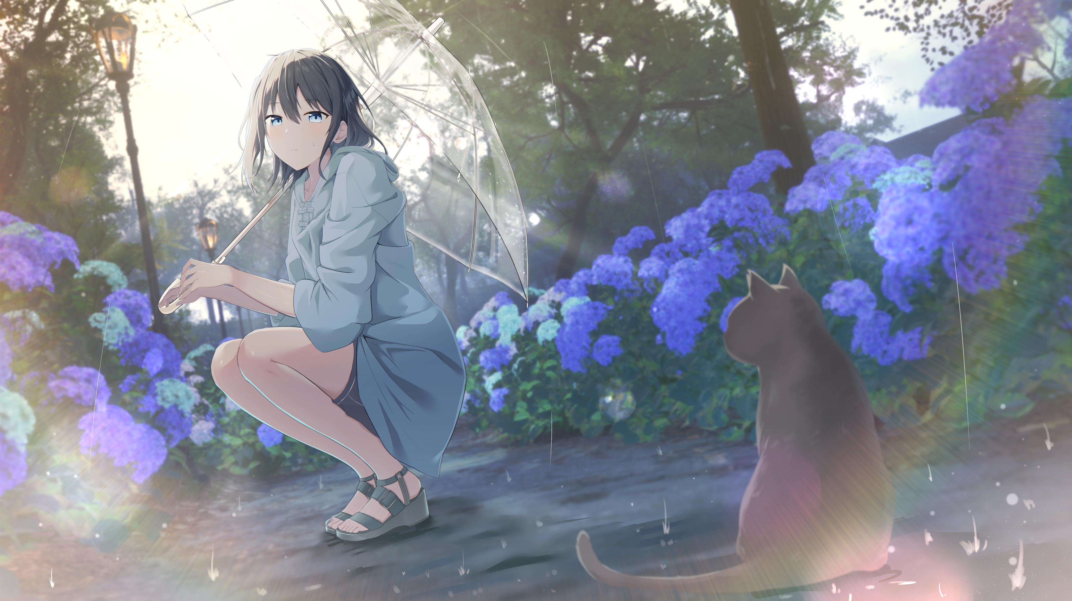 Anime 4374x2454 anime girls squatting rain looking at viewer animals blue flowers flowers outdoors cats water drops long hair black hair blue eyes umbrella trees street light cac itinose leaves sunlight path rainbows