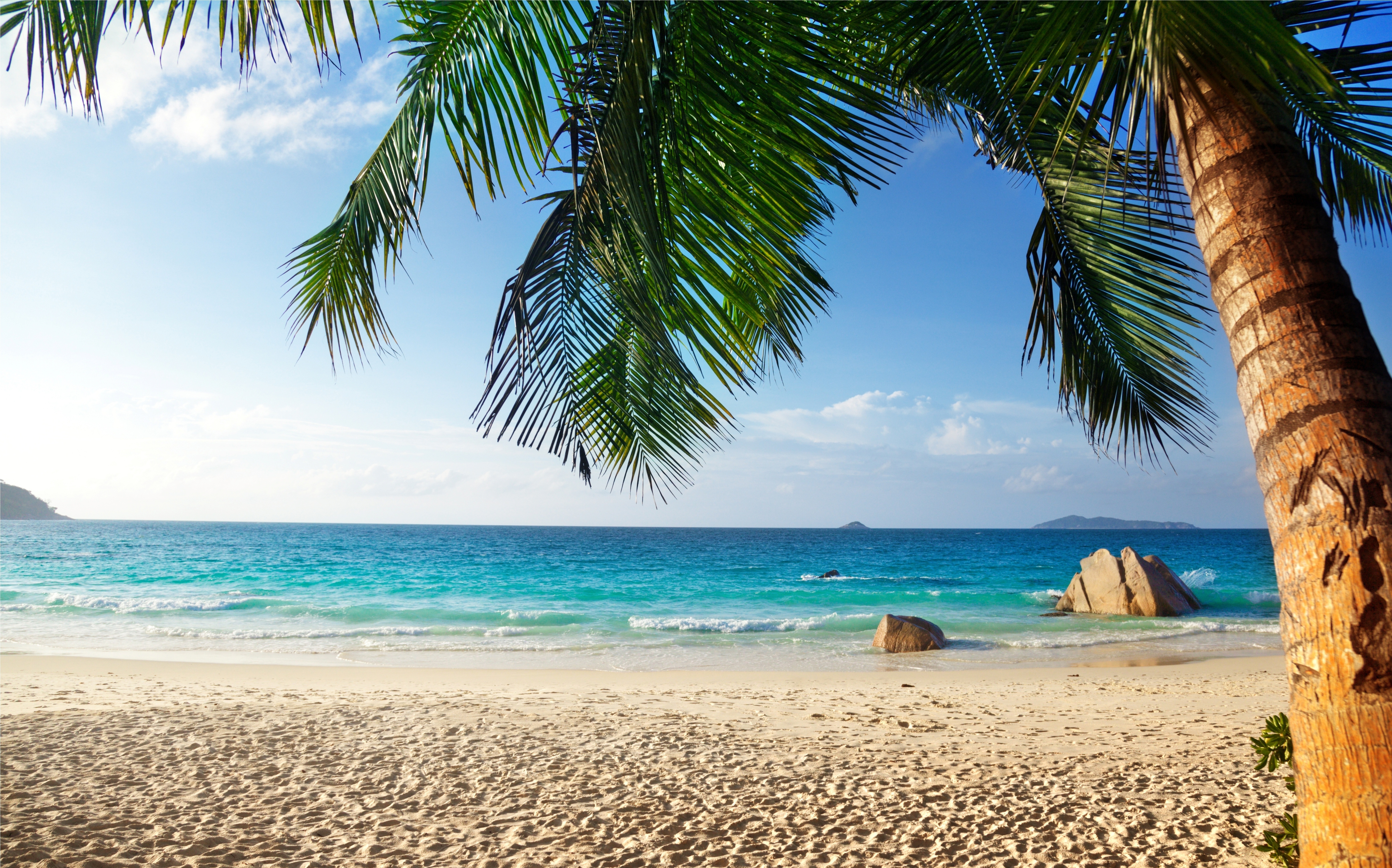 General 6480x4043 summer beach palm trees horizon sea sand sky clouds waves water sunlight