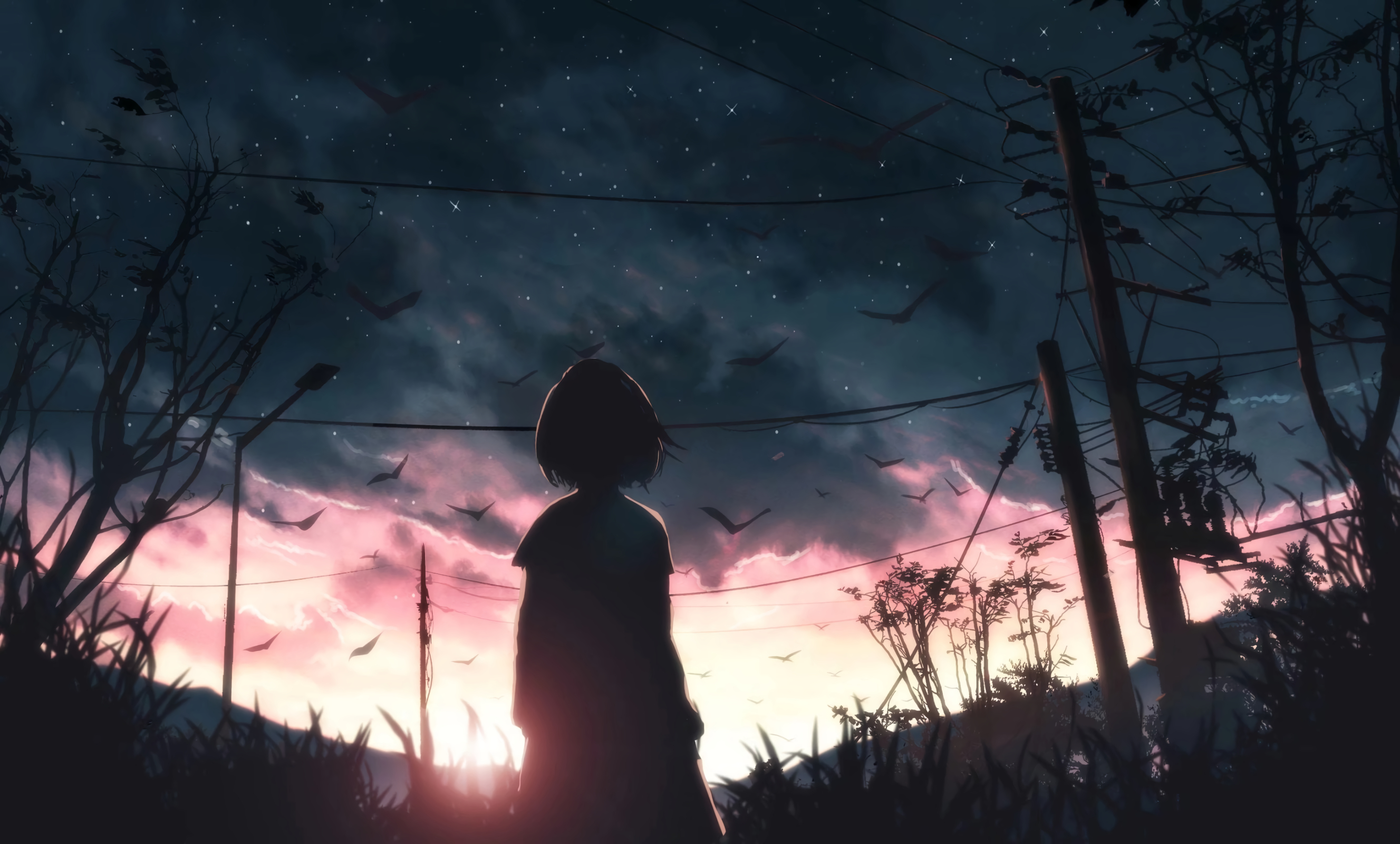 Anime 2655x1600 anime birds sunset sky blue power lines silhouette moescape