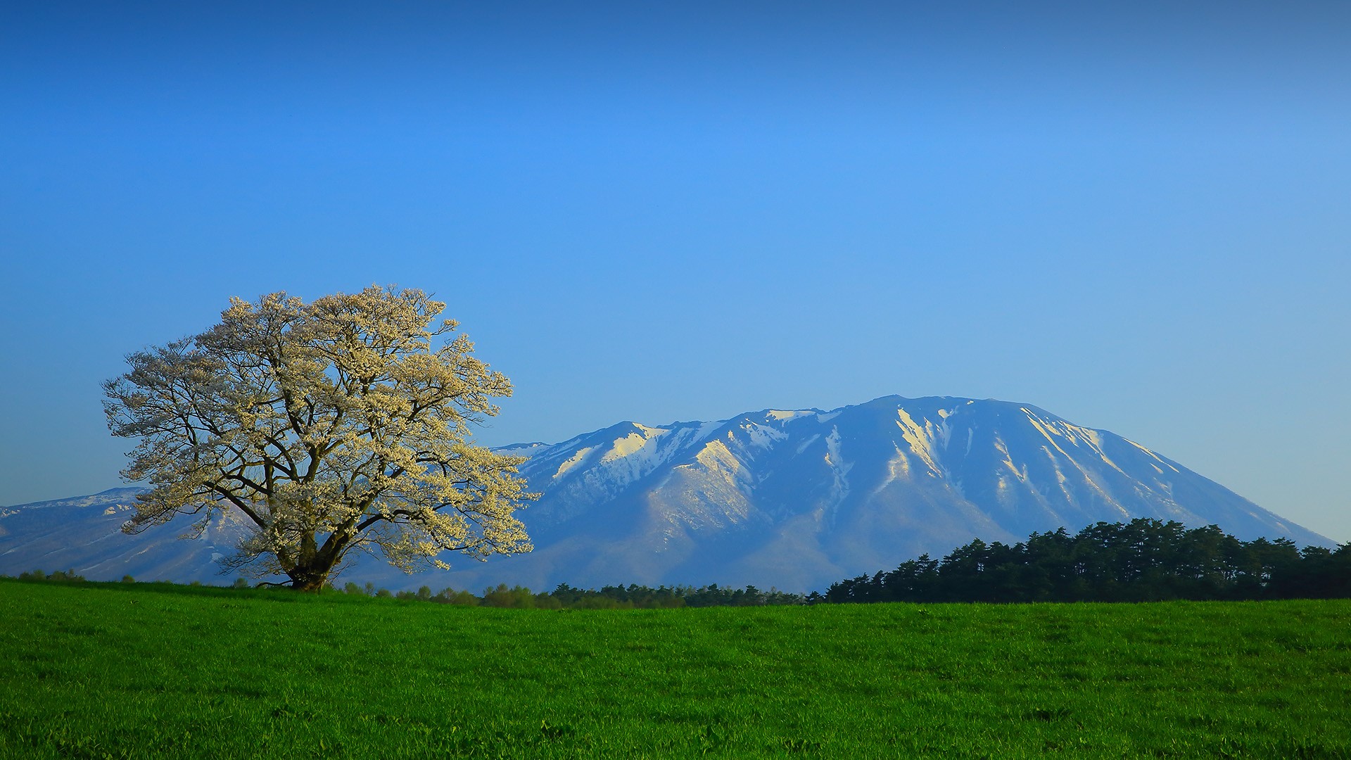 General 1920x1080 grass nature landscape clear sky mountains trees field spring Yoshino cherries Tōhoku Japan