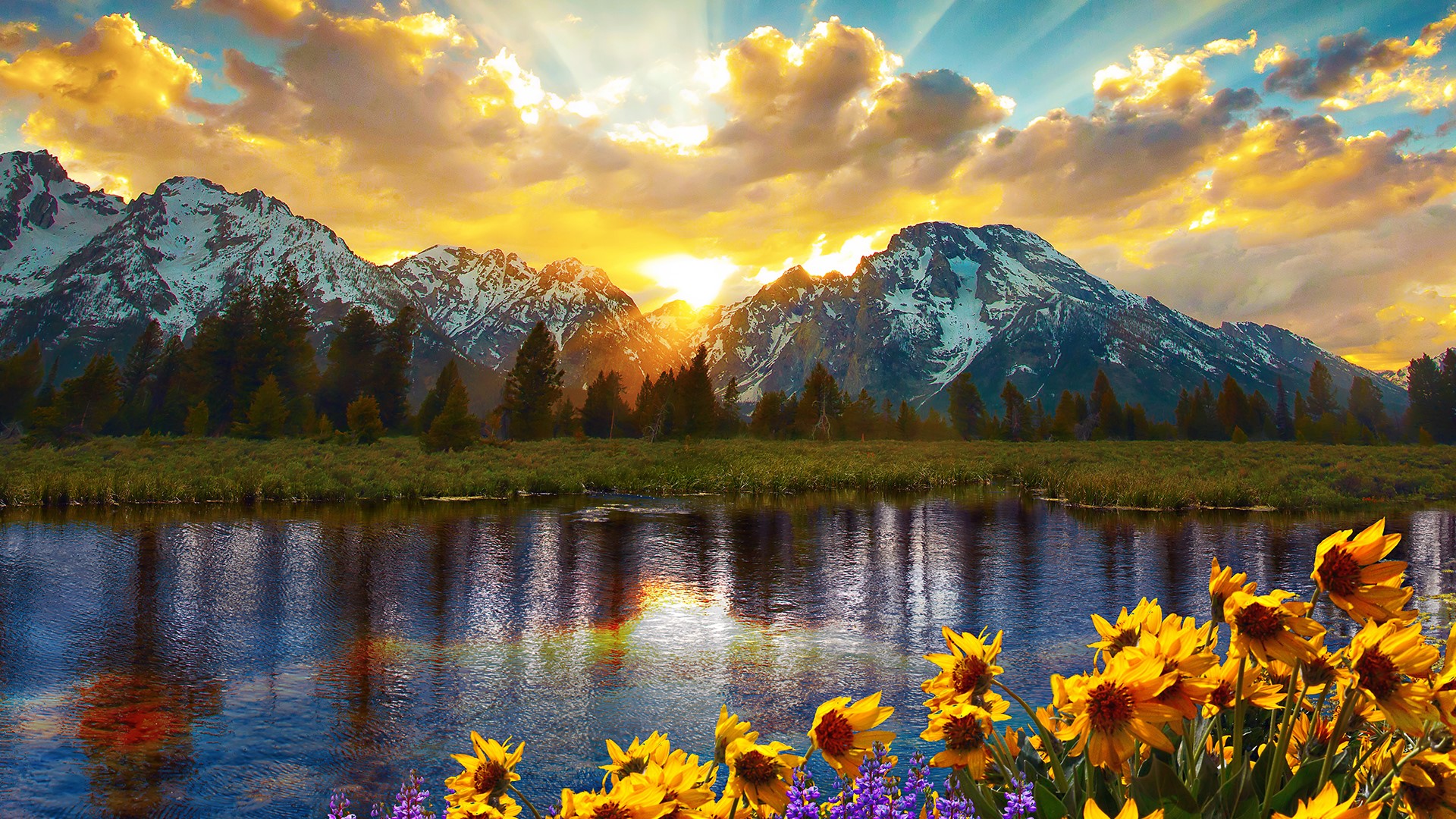 General 1920x1080 nature landscape flowers clouds sky mountains sun rays sunflowers river Grand Teton National Park Wyoming USA