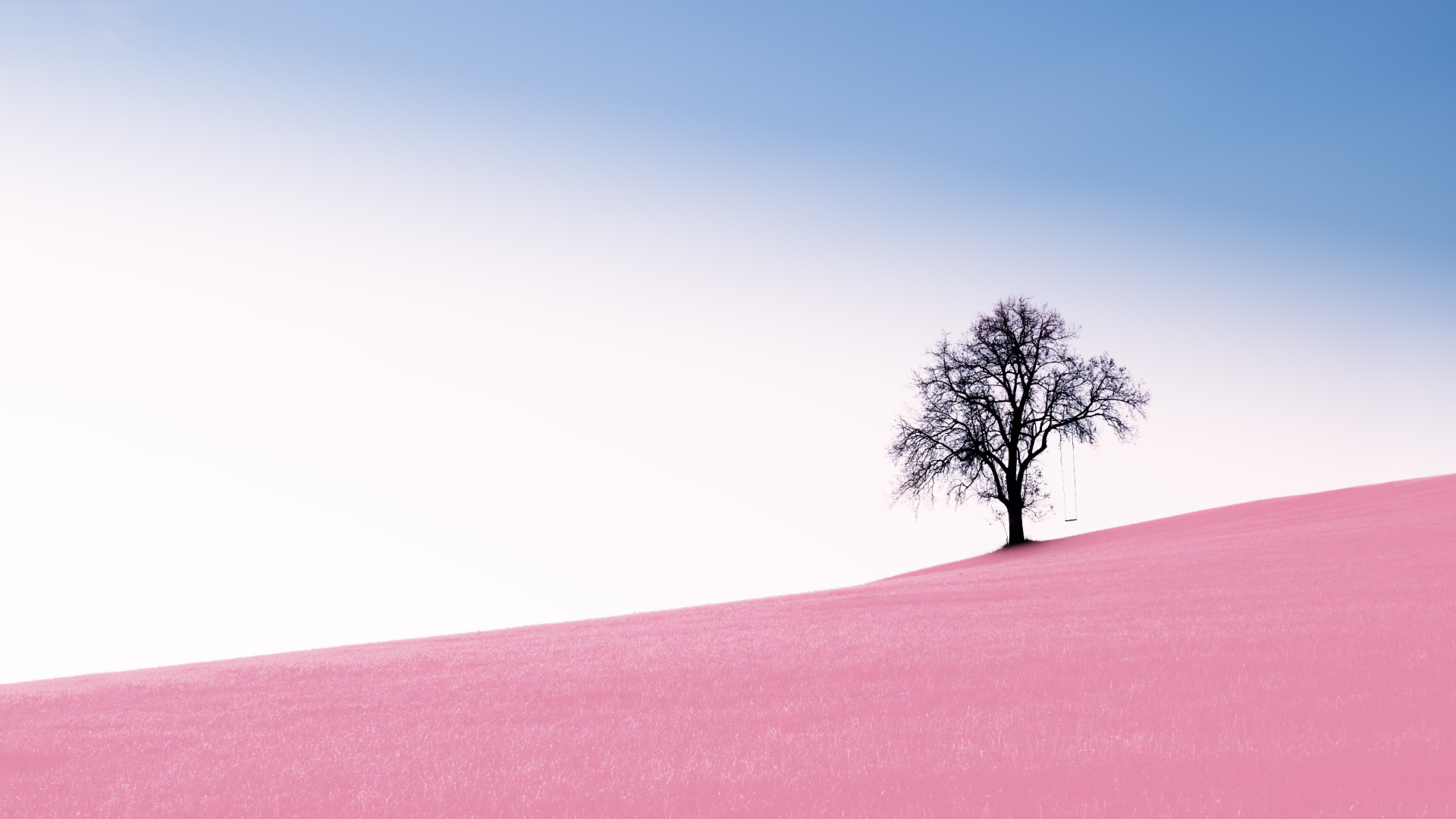 General 1920x1080 nature landscape trees grass sky clear sky selective coloring pink