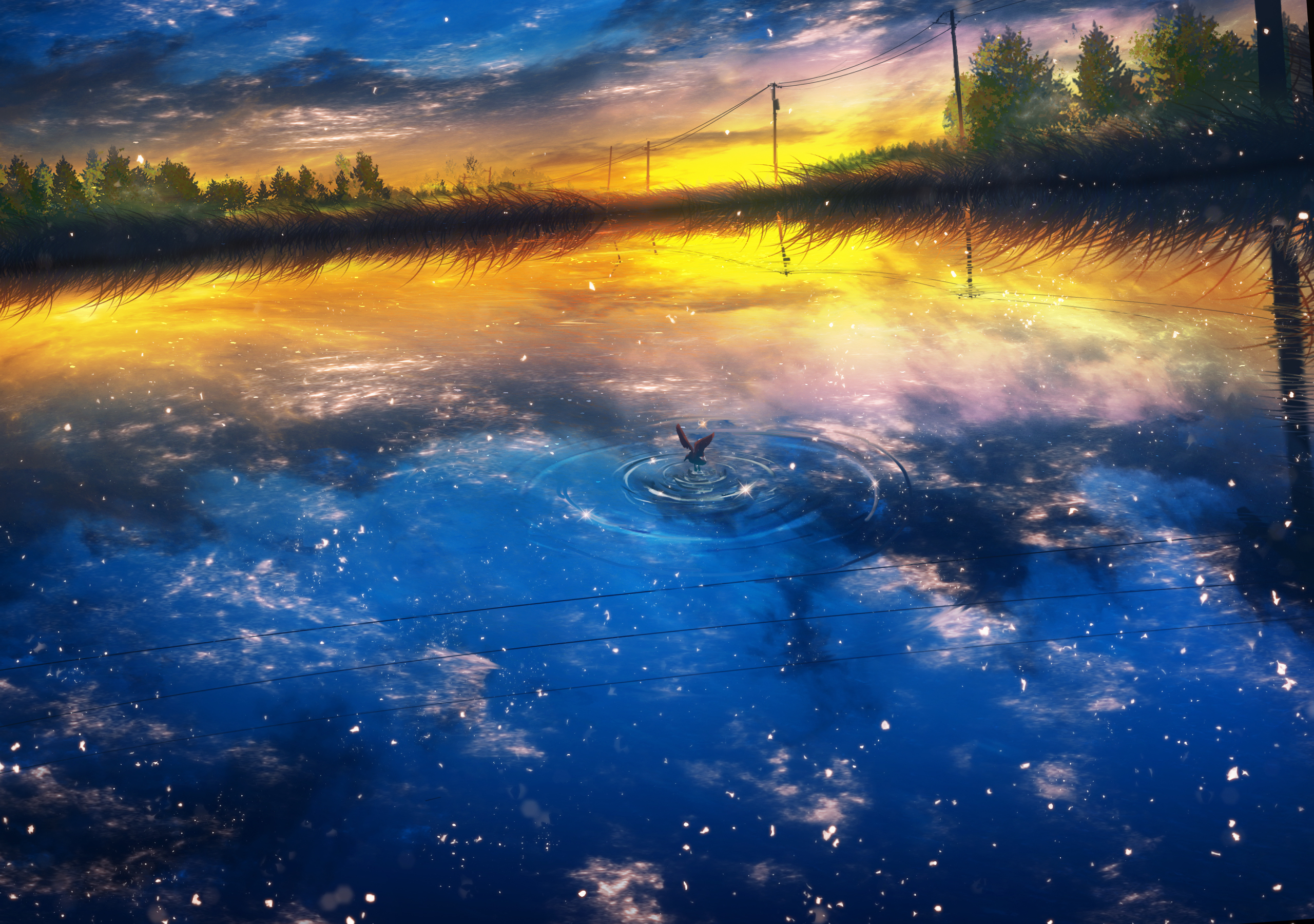 General 2560x1800 landscape lake trees stars power lines birds animals outdoors nature water