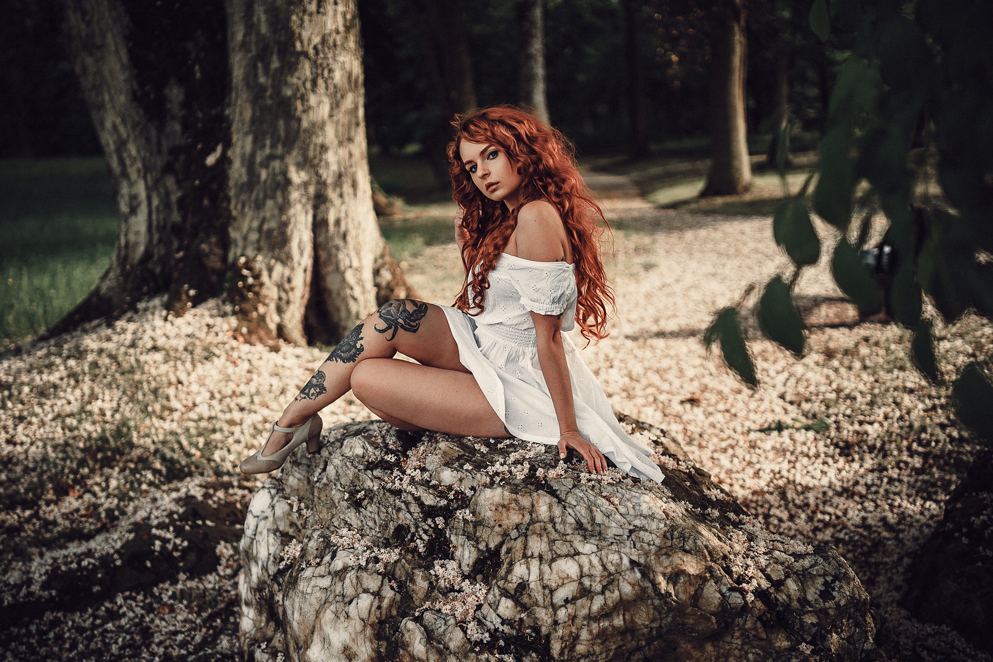 People 2000x1333 redhead sitting women outdoors women model white dress bare shoulders tattoo tree trunk rocks